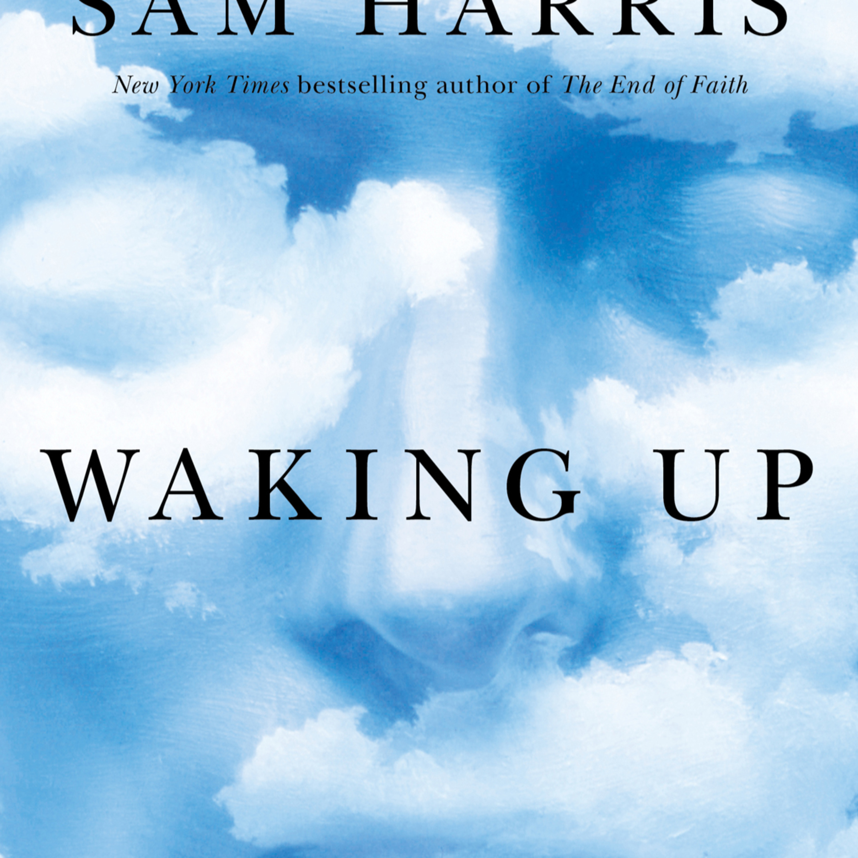 Waking Up — Spirituality Without Religion | Deep Dive episode artwork