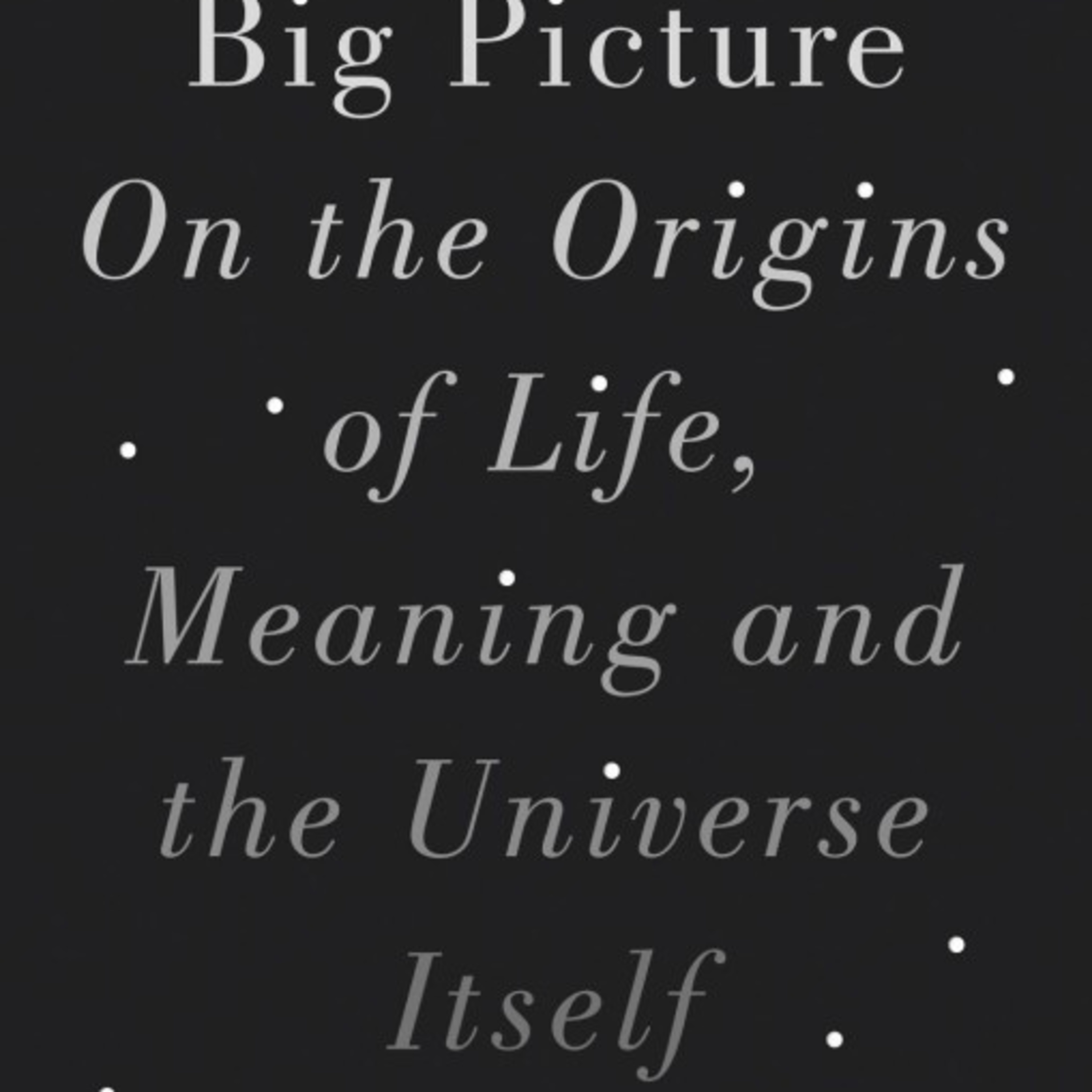 The Big Picture — Meaning in a Physical Universe | Crisis in Perception episode artwork