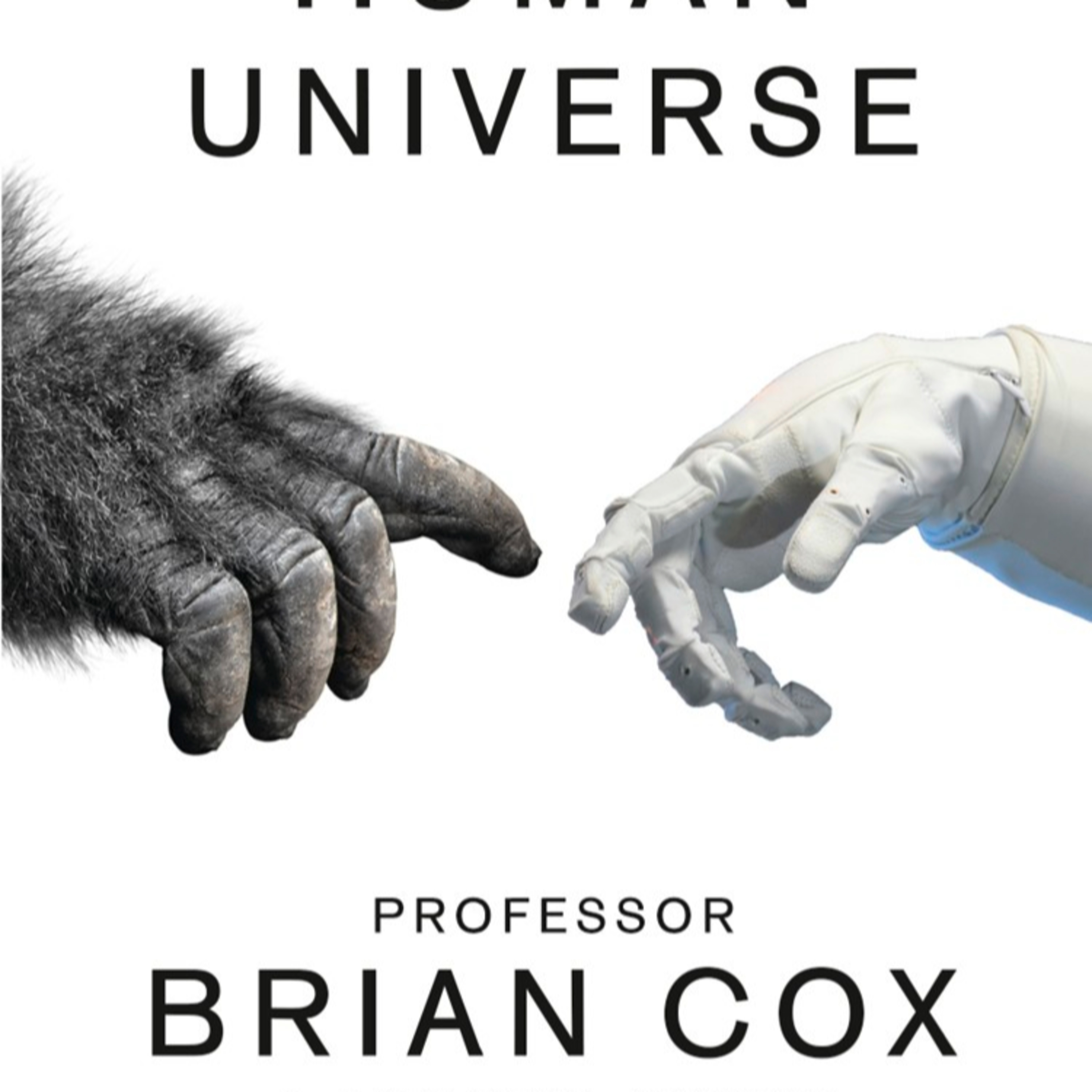 Human Universe — Meaning, Knowledge, and Cosmic Scale (Audio) episode artwork