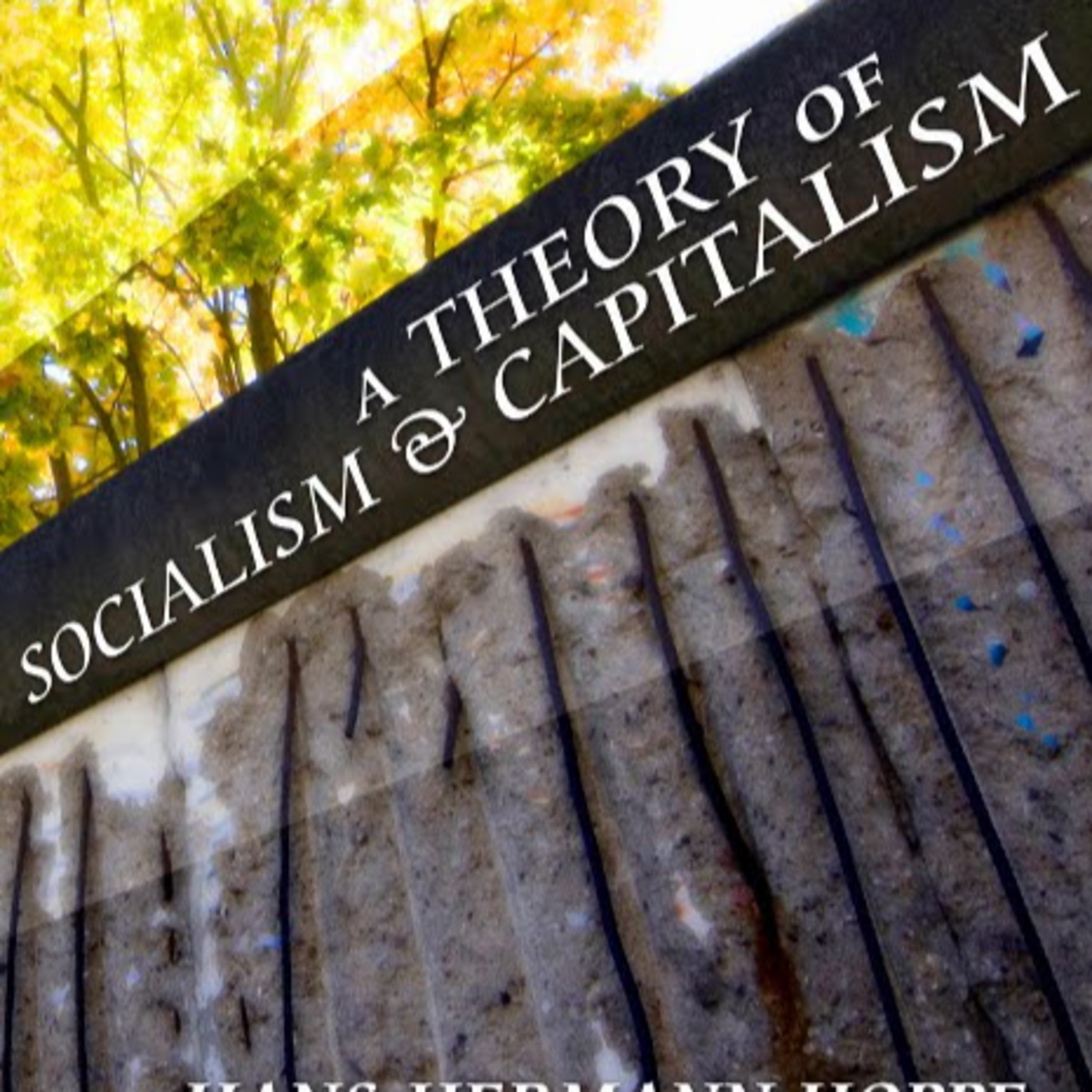 A Theory of Socialism and Capitalism — Property, Coercion, and the State (Audio)