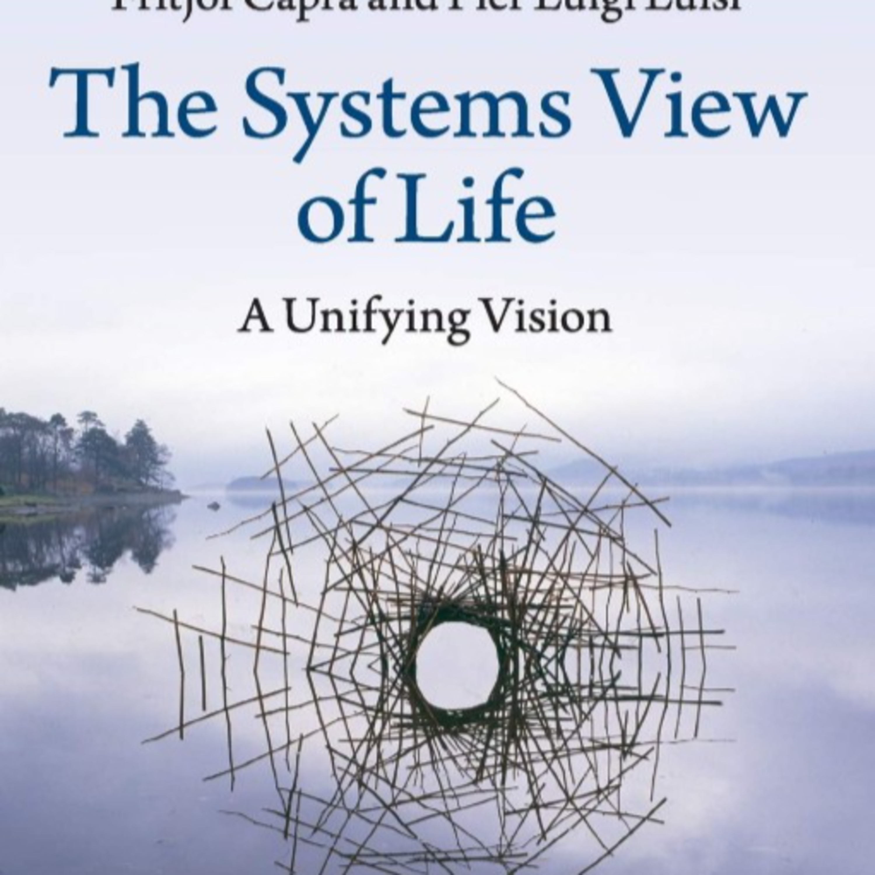The Systems View of Life — Complexity, Interdependence, and Systemic Failure (Audio)