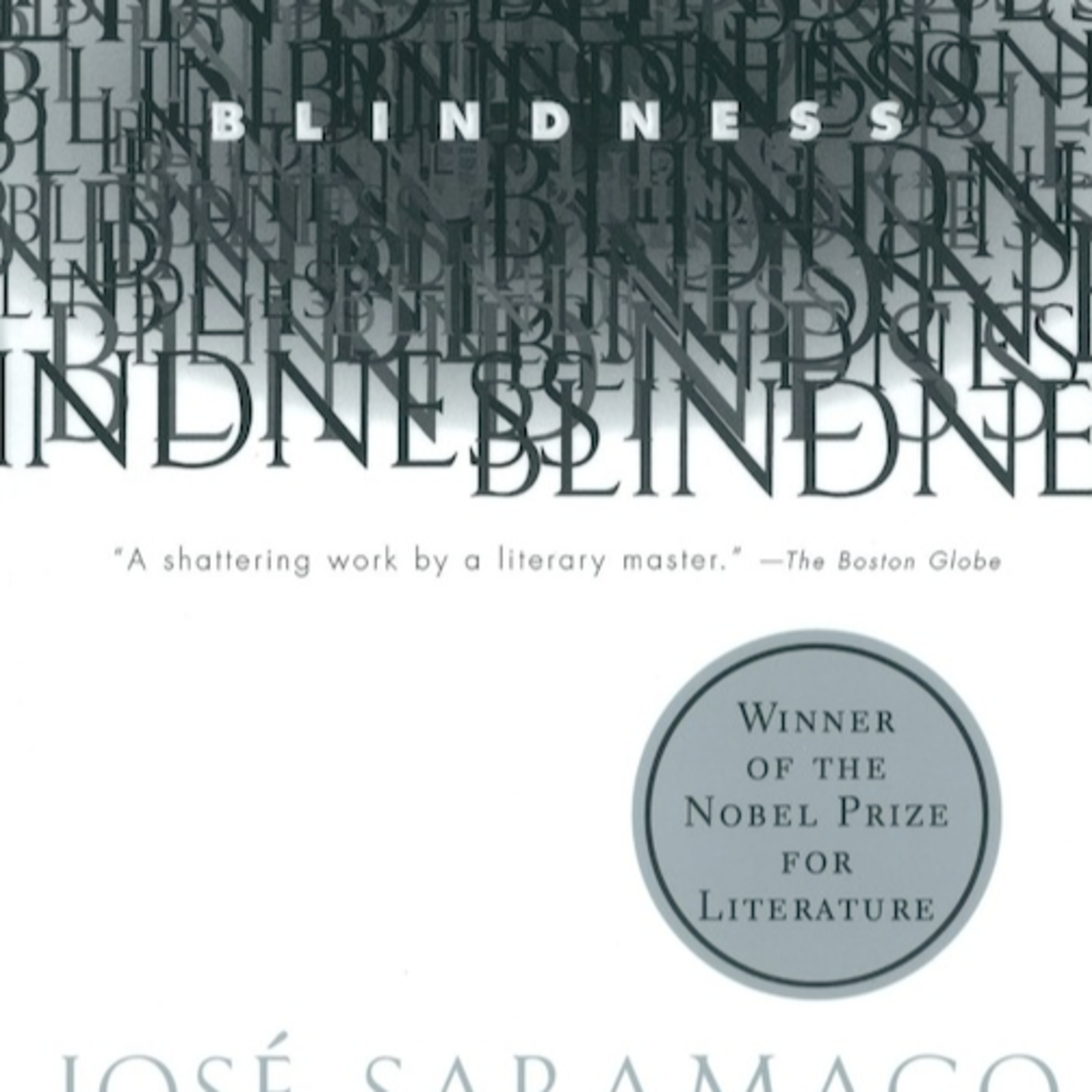 Blindness — Perception, Power, and the Fragility of Civilization (Audio) episode artwork