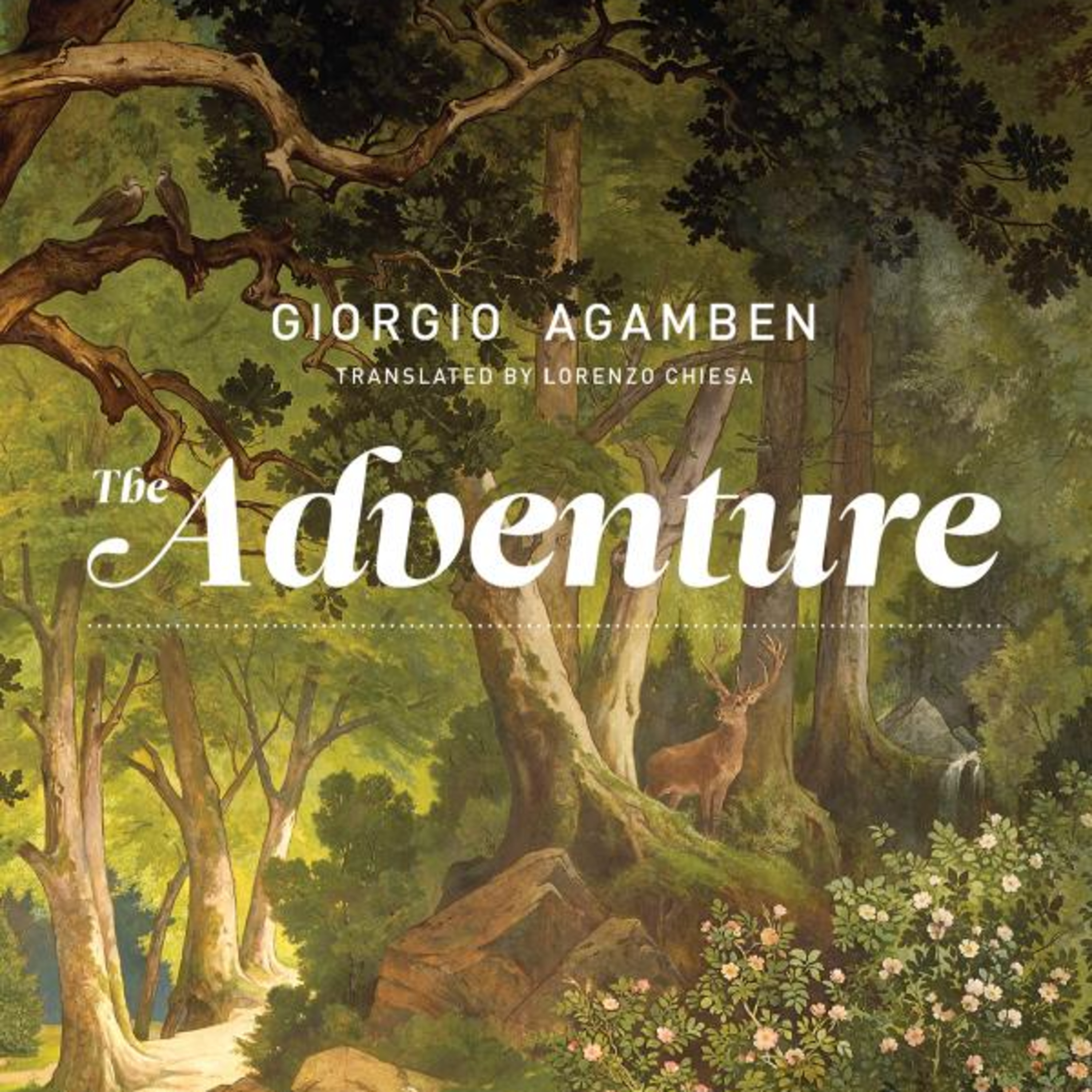 The Adventure — Life, Language, and Becoming Human (Audio) episode artwork