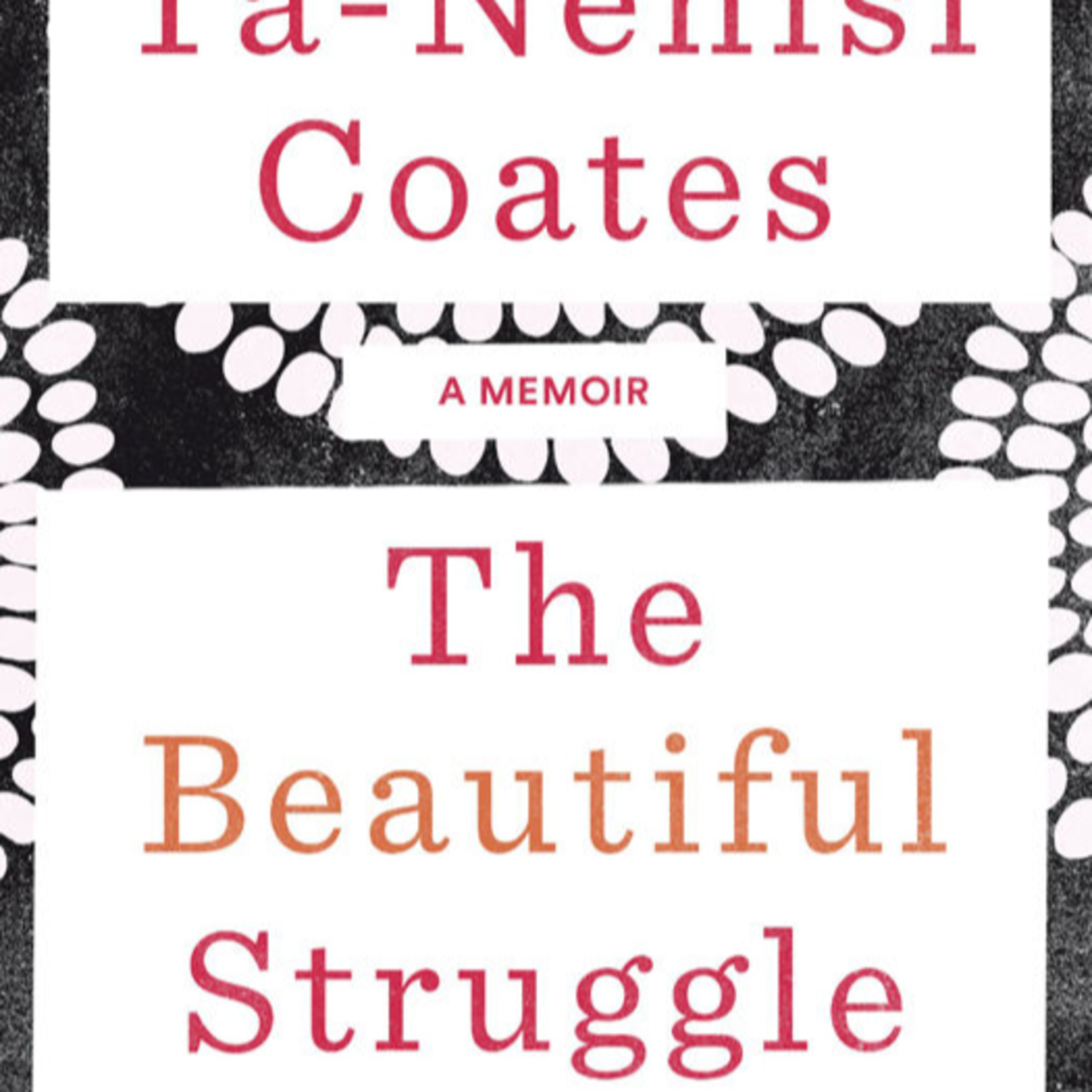 The Beautiful Struggle: A Father, Two Sons, and an Unlikely Road to Manhood — Urban Incentive Systems episode artwork