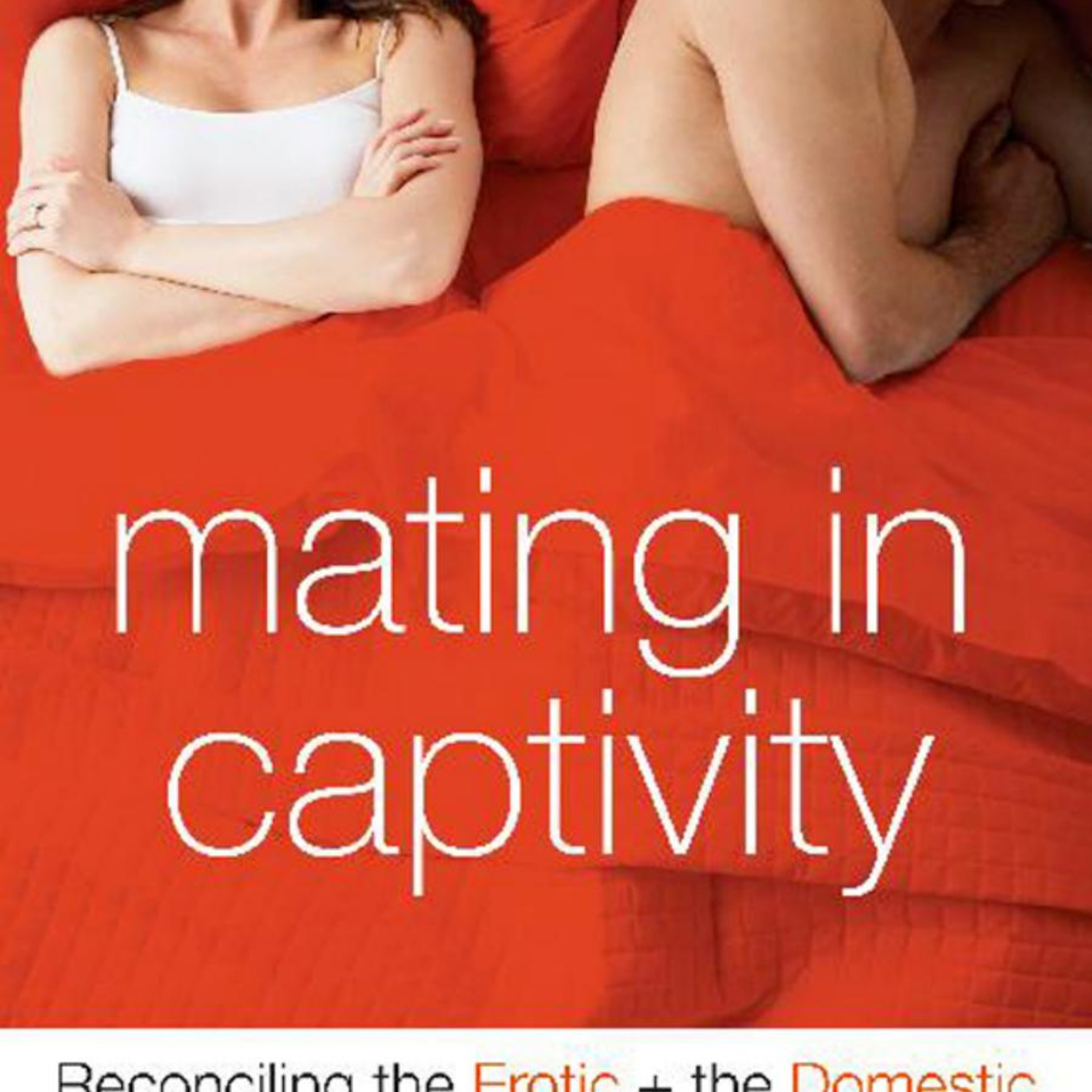 Mating in Captivity: Reconciling the Erotic and the Domestic — Erotic Tension in Modern Marriage episode artwork