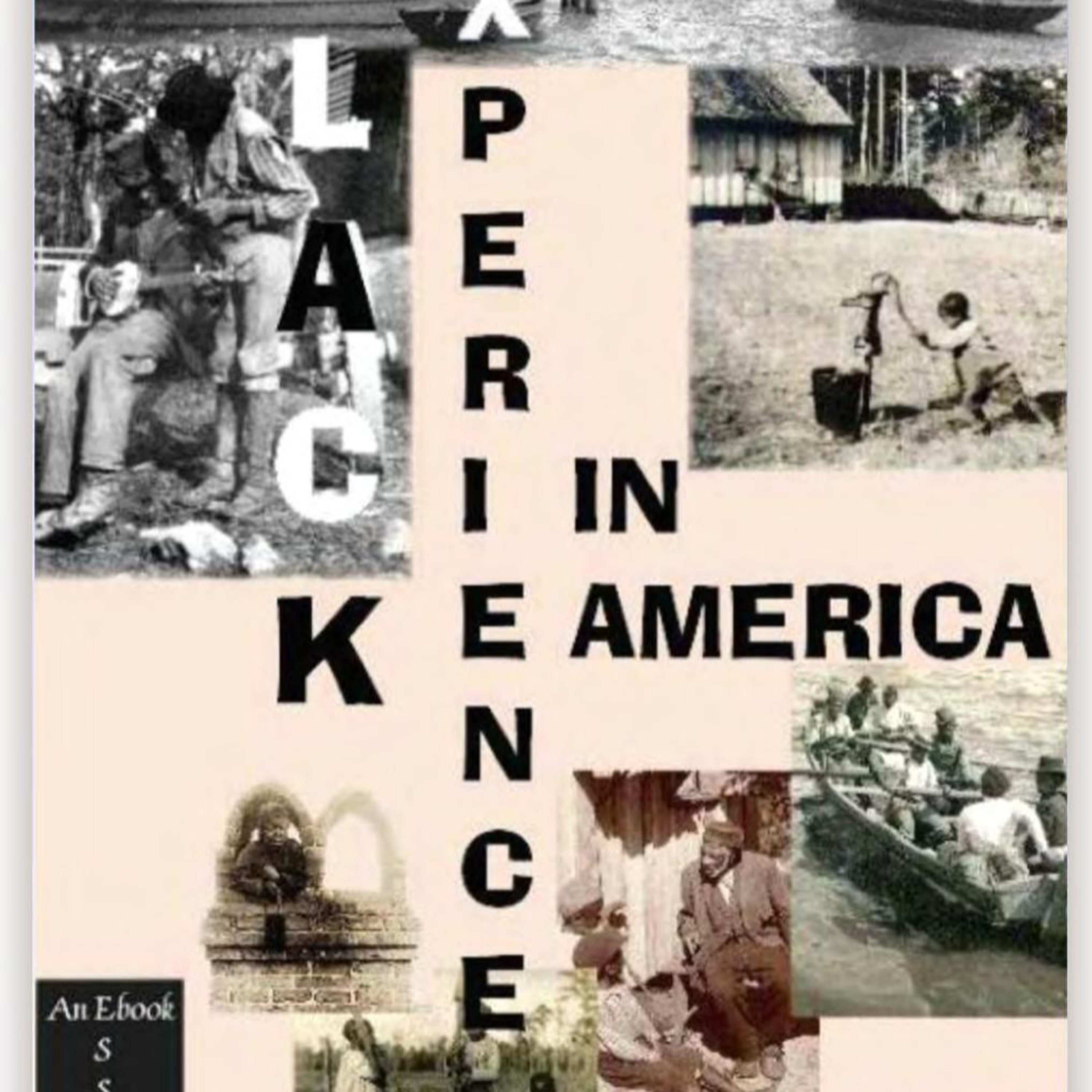The Black Experience in America — Democracy and Racial System Design (Audio) episode artwork