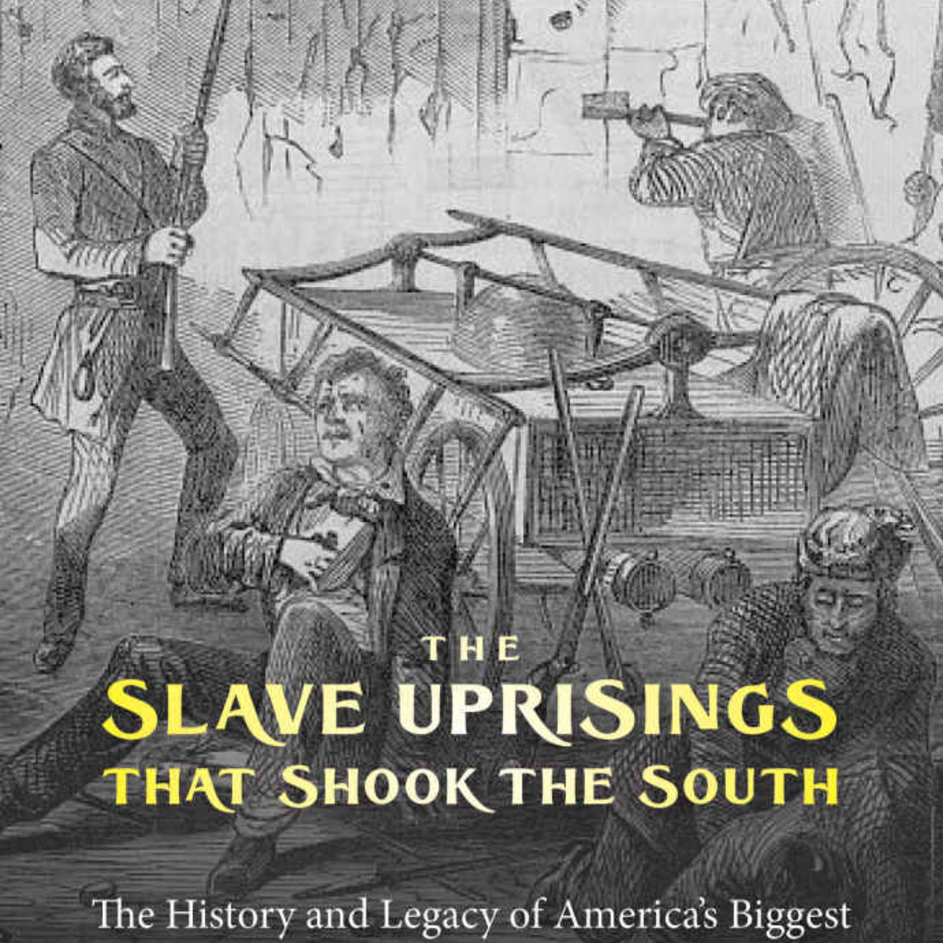 The Slave Uprisings that Shook the South — Resistance and Systemic Collapse episode artwork