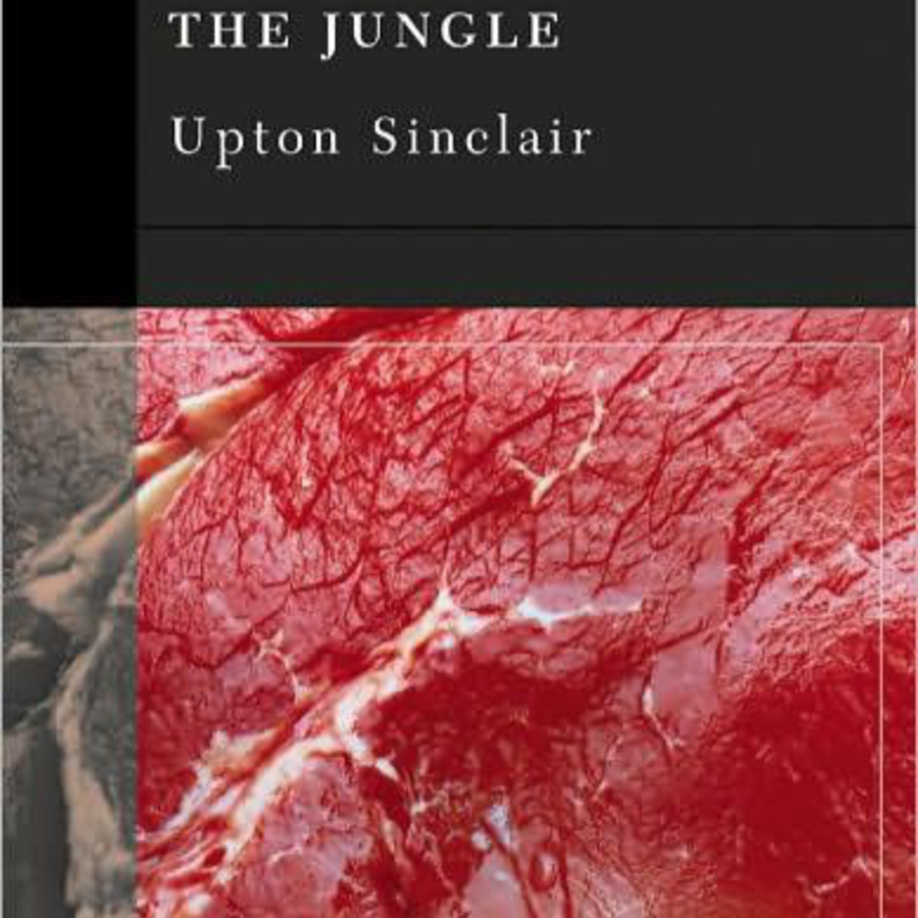 The Jungle: Slaughter and Socialist Awakening — Industrial Incentive Design episode artwork