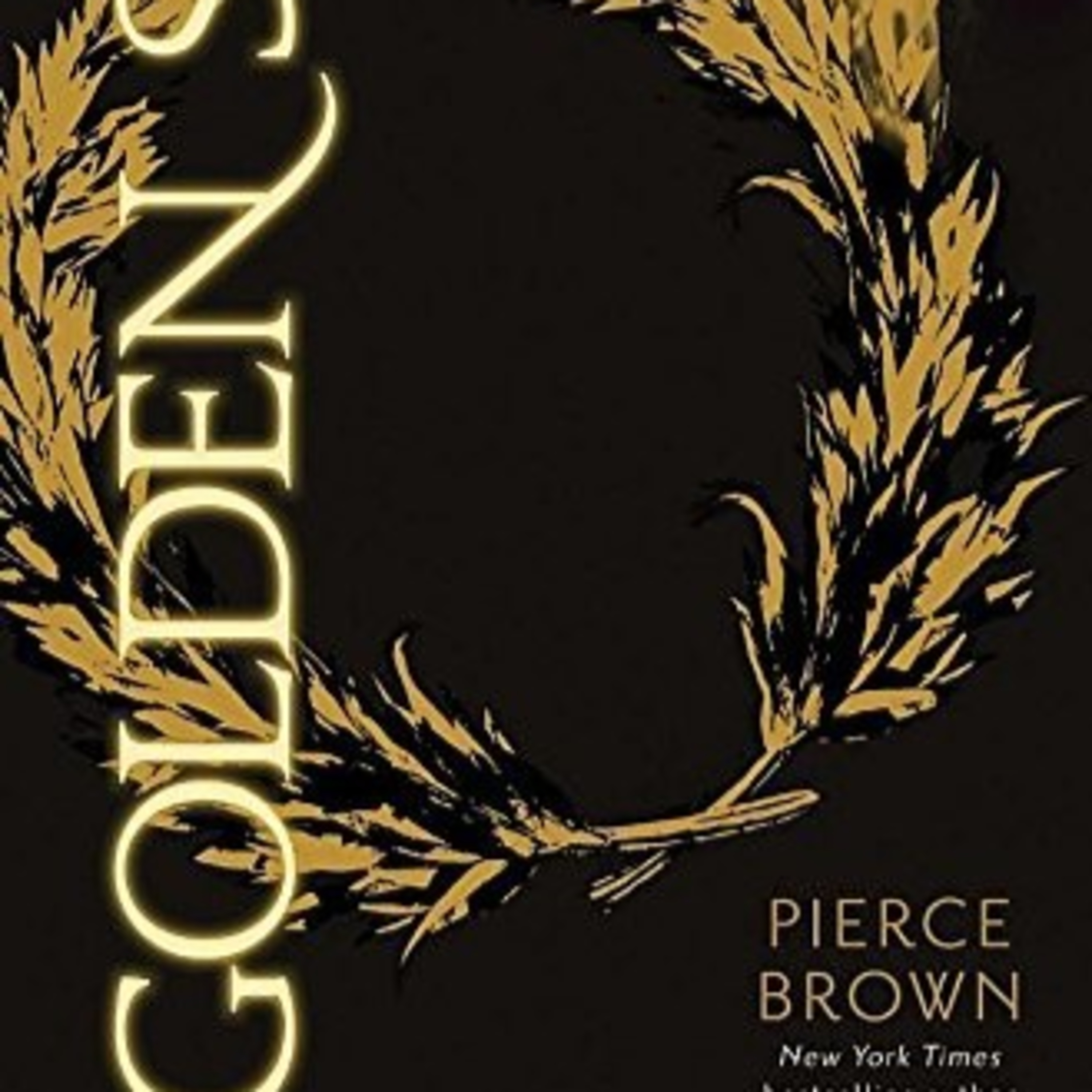 Golden Son — Elite Competition Inside a Closed Power Hierarchy episode artwork