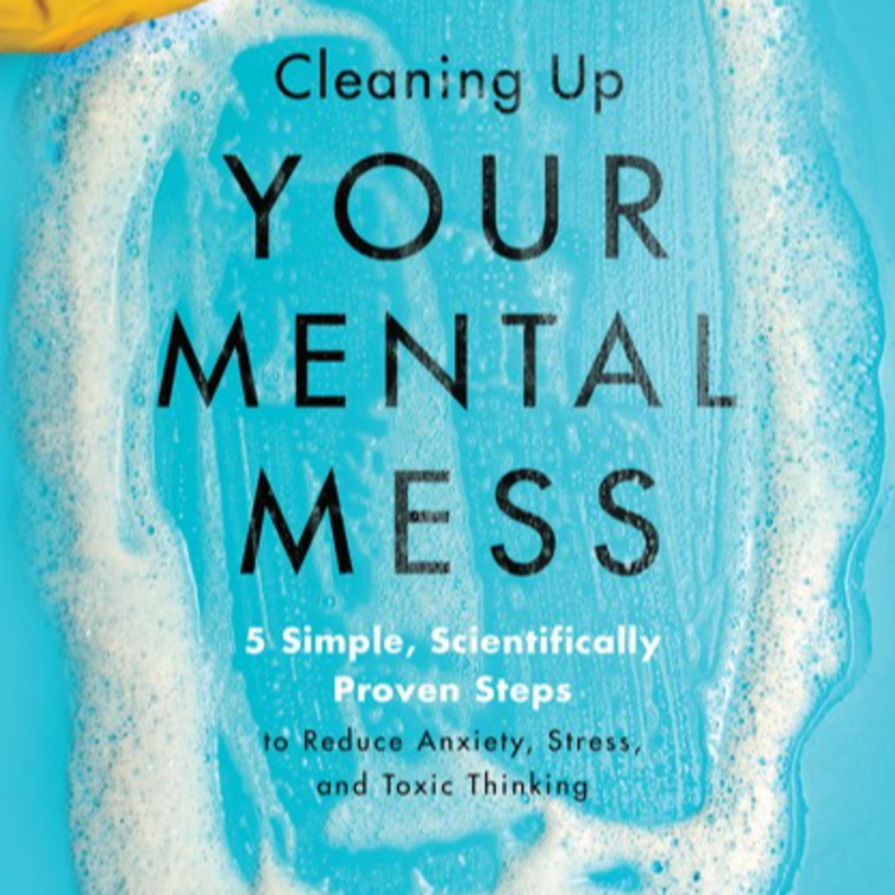 Cleaning Up Your Mental Mess: 5 Simple, Scientifically Proven Steps — Neuroplasticity and Mental Health episode artwork