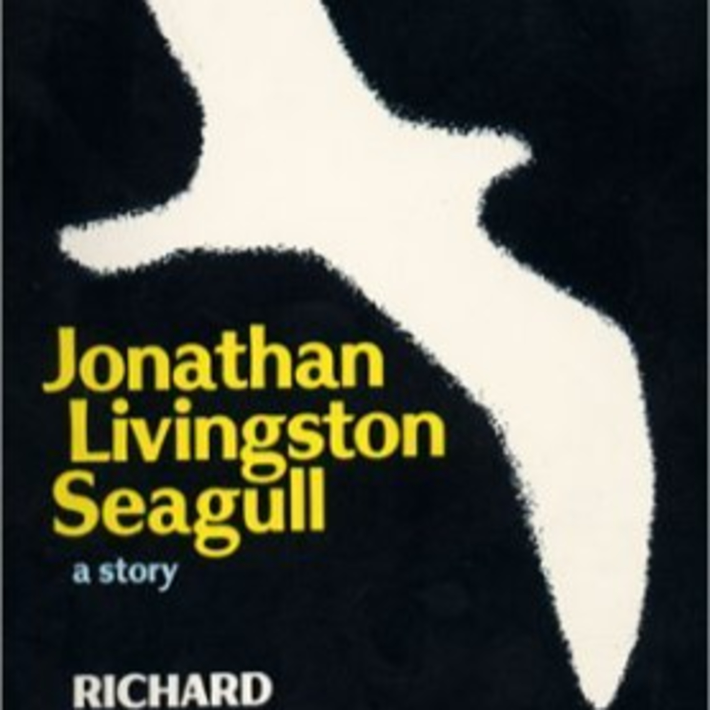 Jonathan Livingston Seagull — Institutional Conformity and Manufactured Limits episode artwork