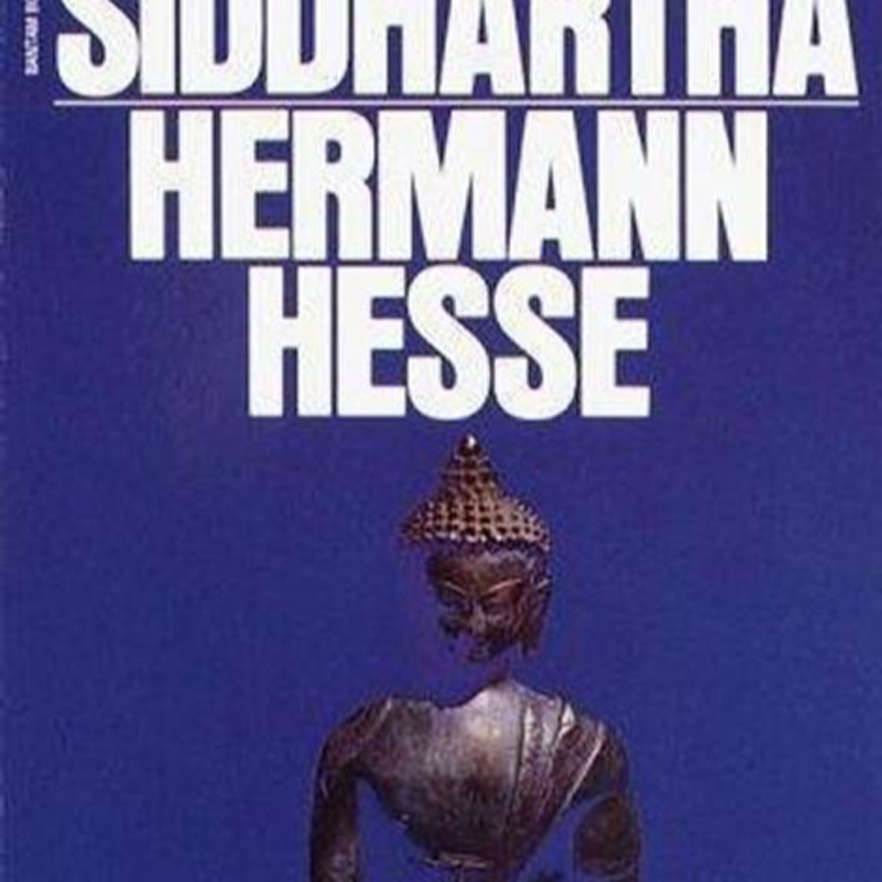 Siddhartha — Authority, Experience & the Illusion of Spiritual Progress episode artwork