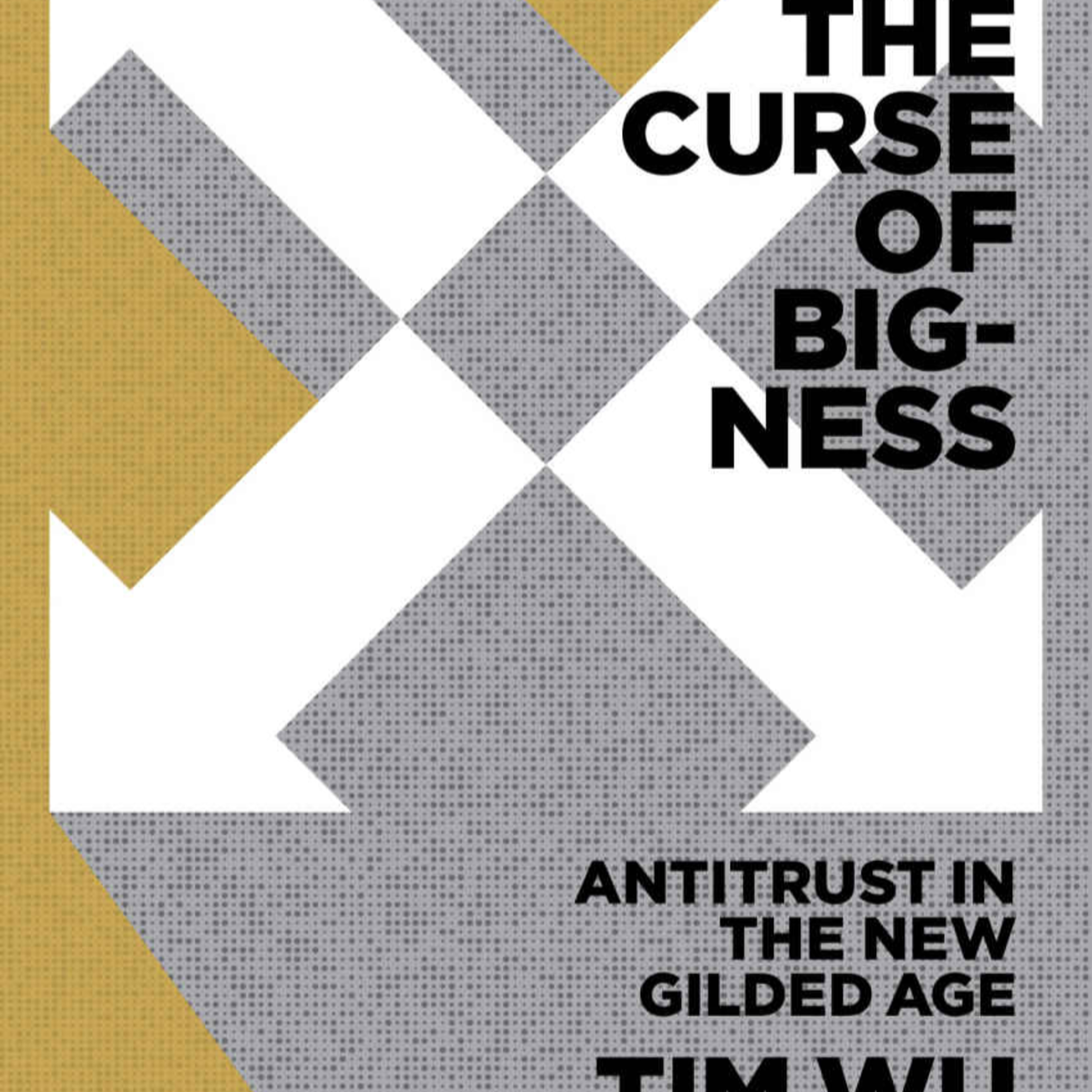 The Curse of Bigness: Antitrust in the New Gilded Age — Market Structure as Governance episode artwork