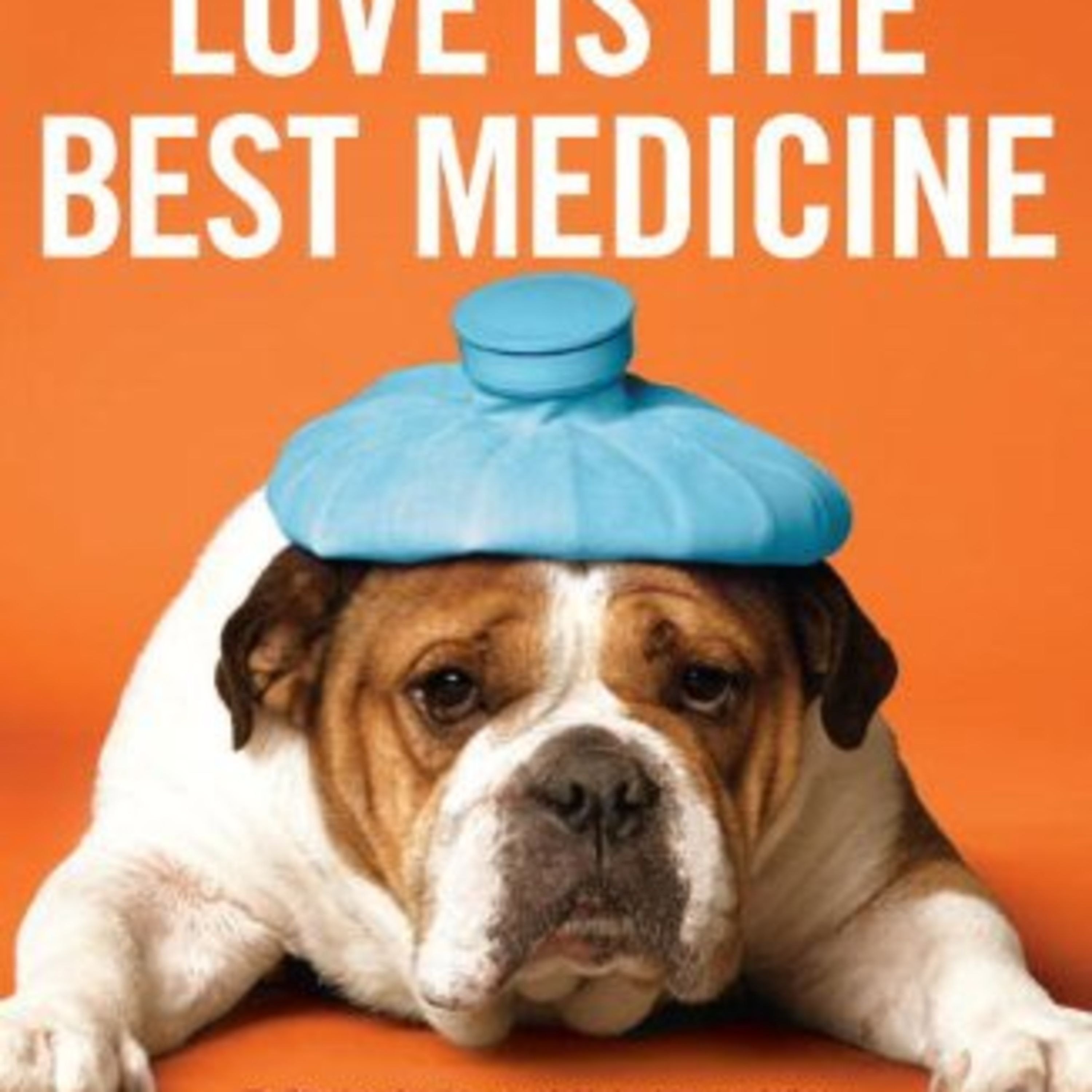 Love Is the Best Medicine: What Two Dogs Taught One Everyday Miracles — The Emotional Care System episode artwork