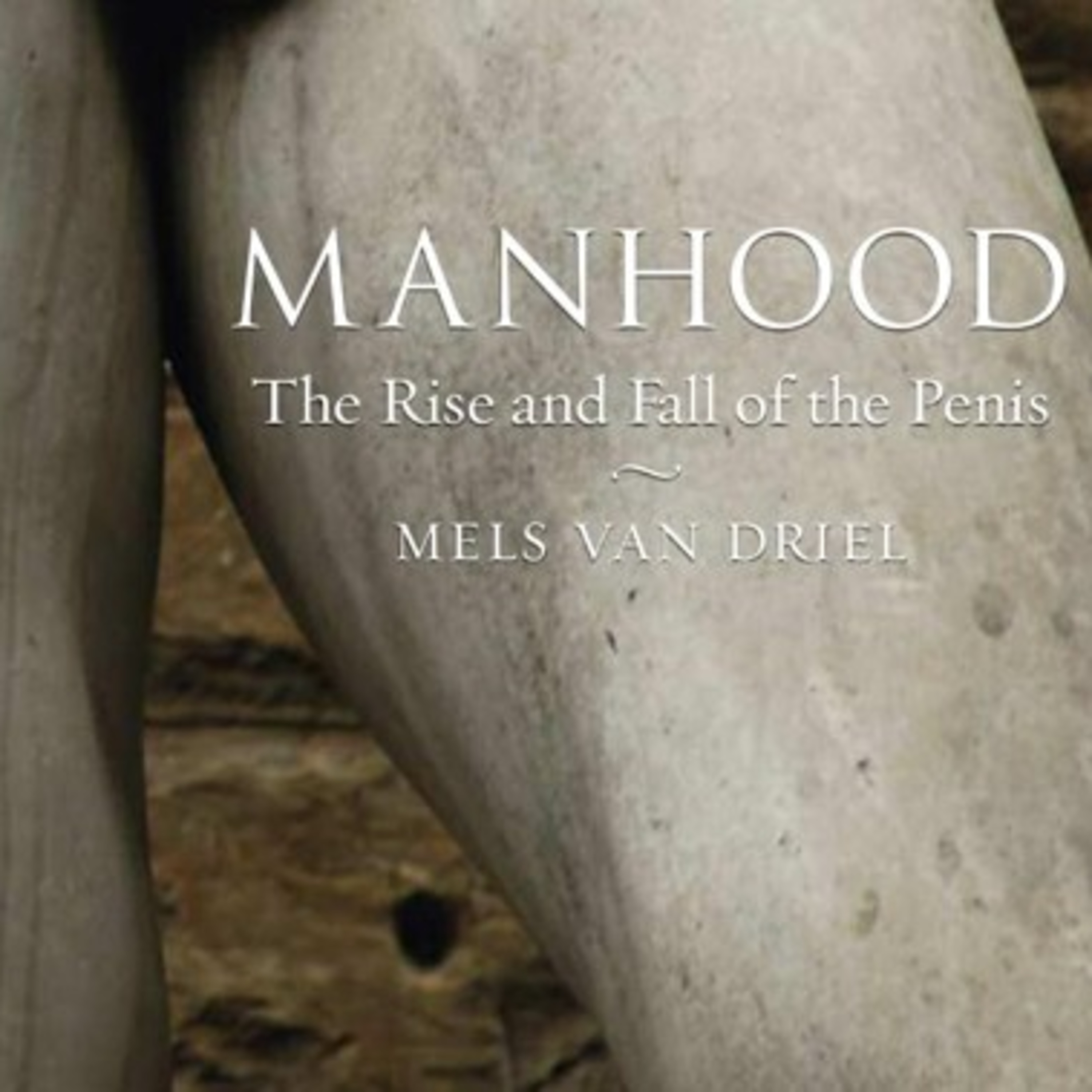 Manhood: The Rise and Fall of the Penis — Biology, Power, and the System of Masculinity episode artwork
