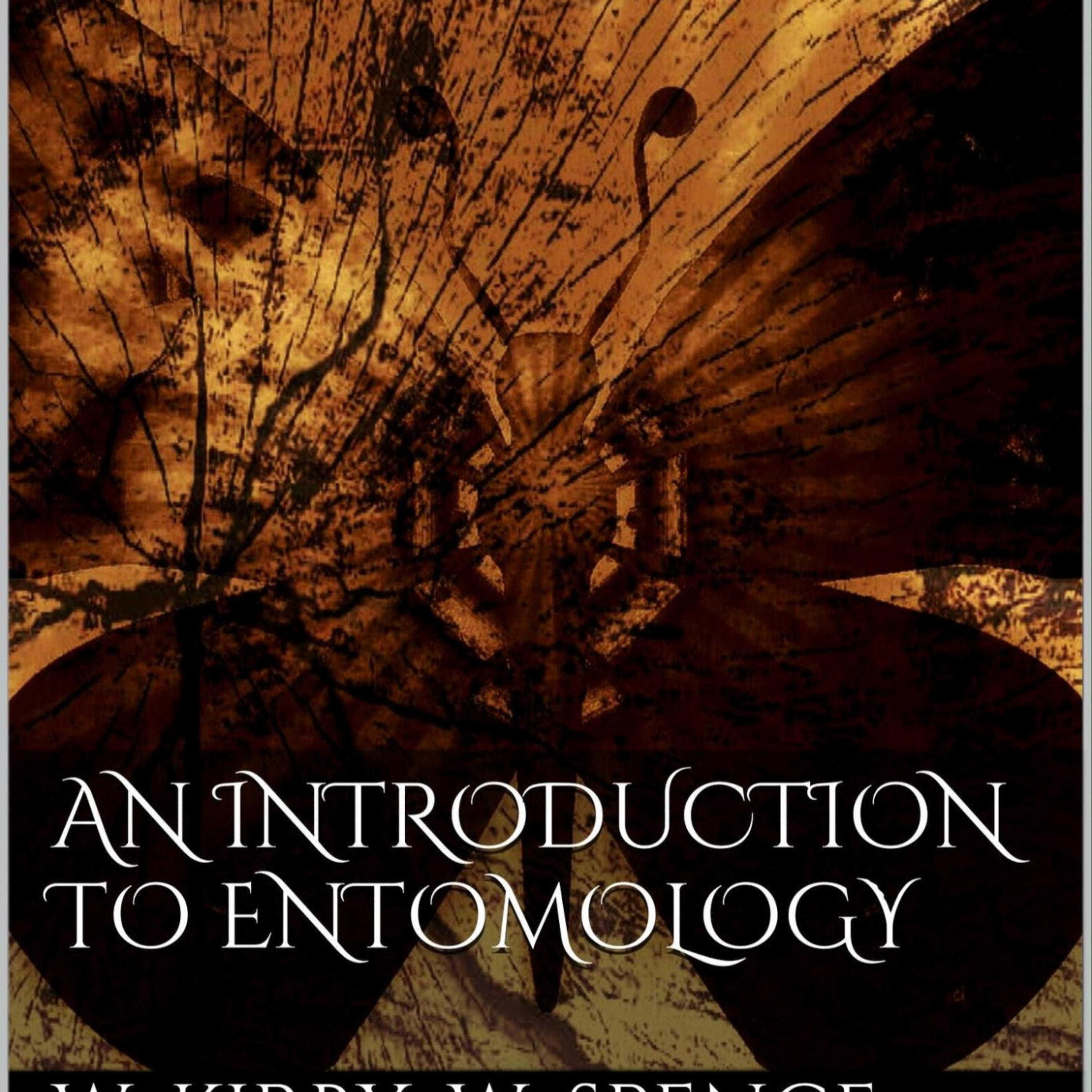 An Introduction to Entomology: Natural History of Insects — The Hidden Infrastructure of Nature episode artwork