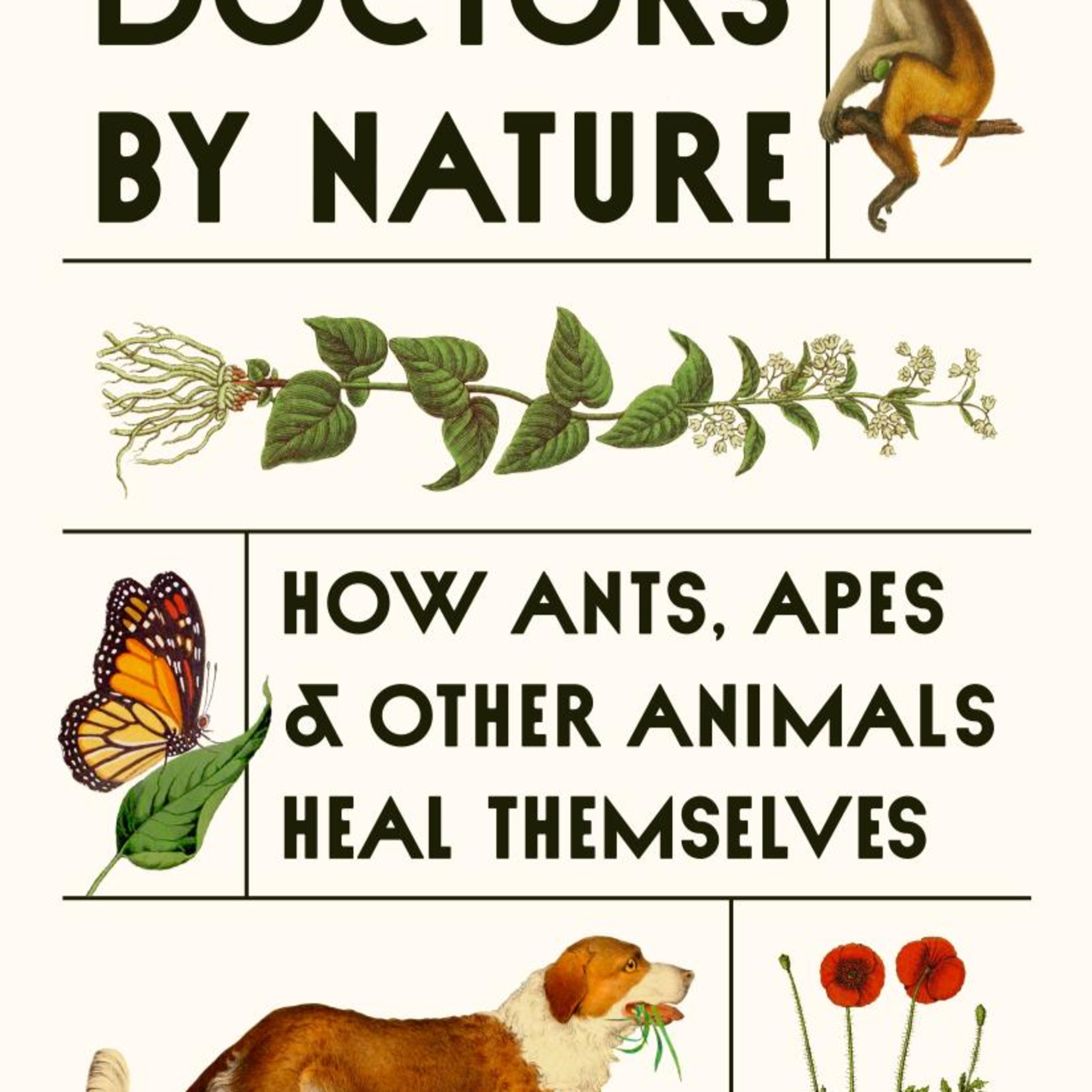 Doctors by Nature: How Animals Heal Themselves — The Hidden Biological System of Medicine episode artwork