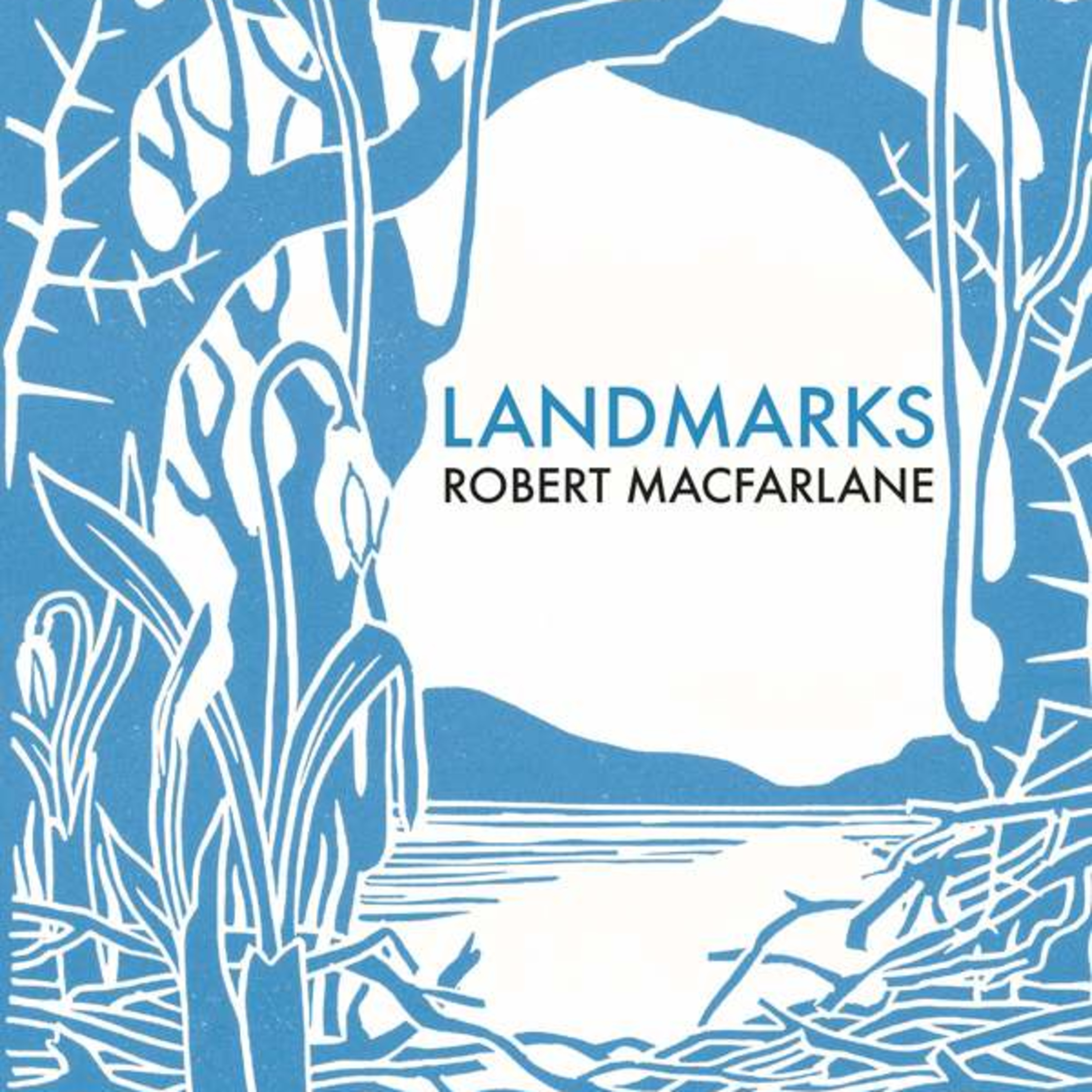Landmarks: The Language of Landscape — How Language Shapes Perception and Nature episode artwork
