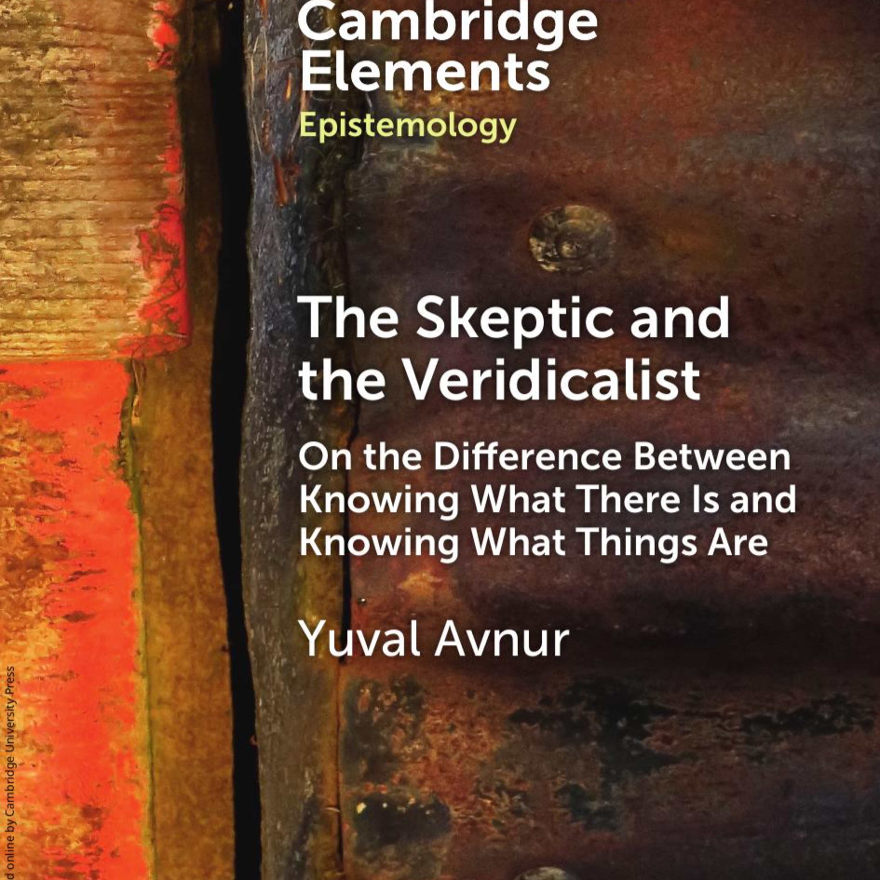 The Skeptic and the Veridicalist: Veridicalism — Why Truth Doesn’t Equal Understanding episode artwork