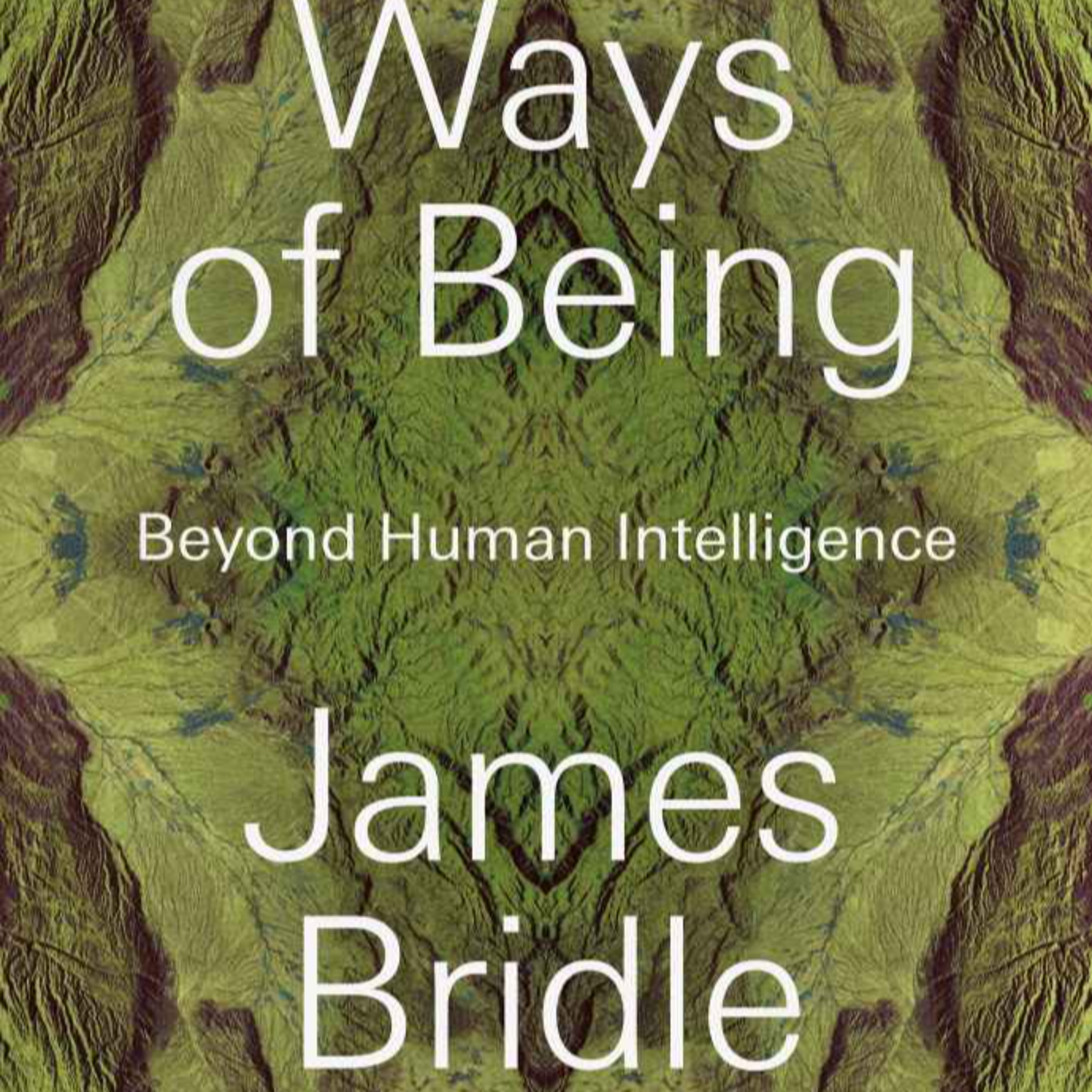 Ways of Being: Beyond Human Intelligence — When Corporations Behave Like AI episode artwork