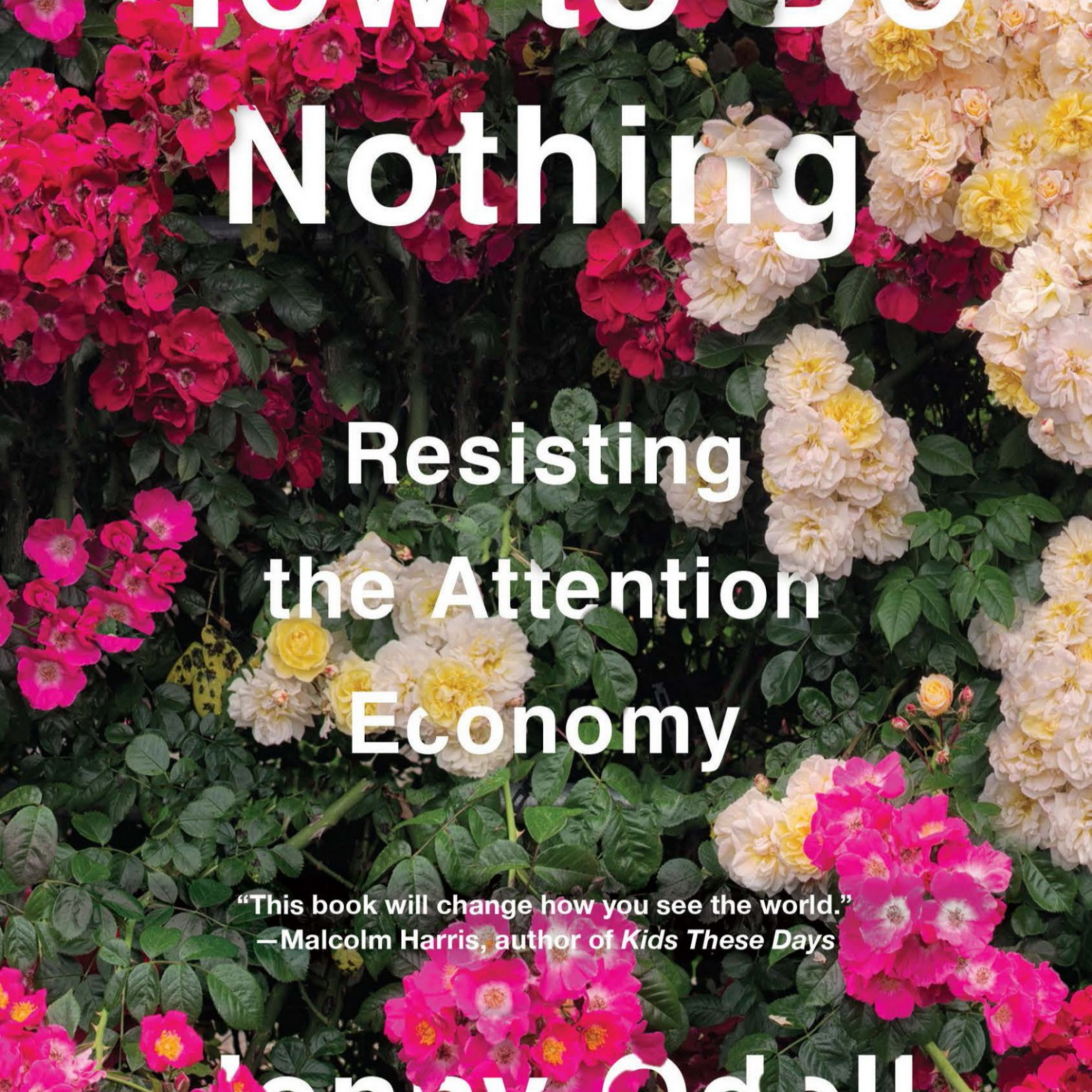 How to Do Nothing: Resisting the Attention Economy — Why Your Attention Isn’t Yours episode artwork