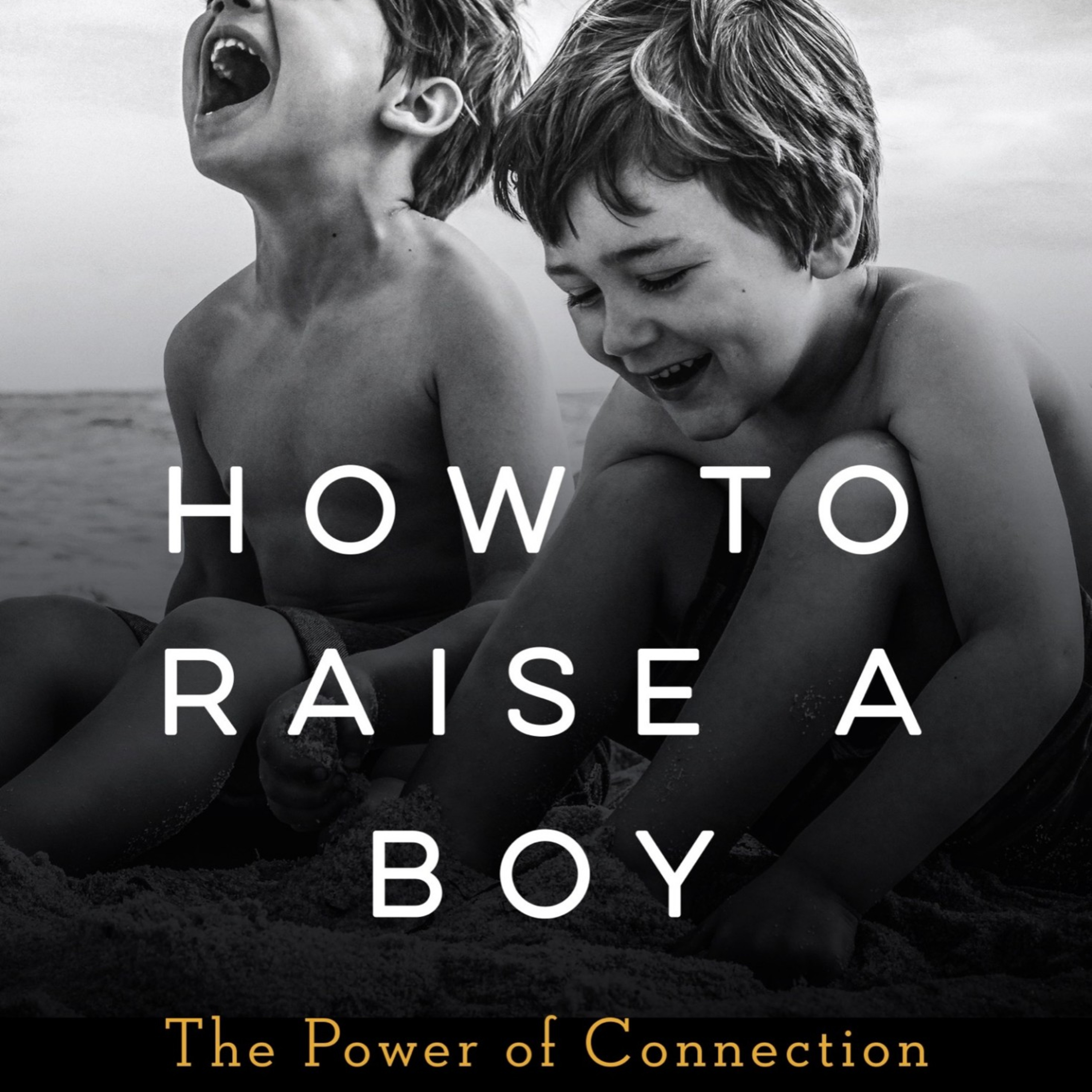How to Raise a Boy: The Power of Connection — The System Breaking Boys episode artwork