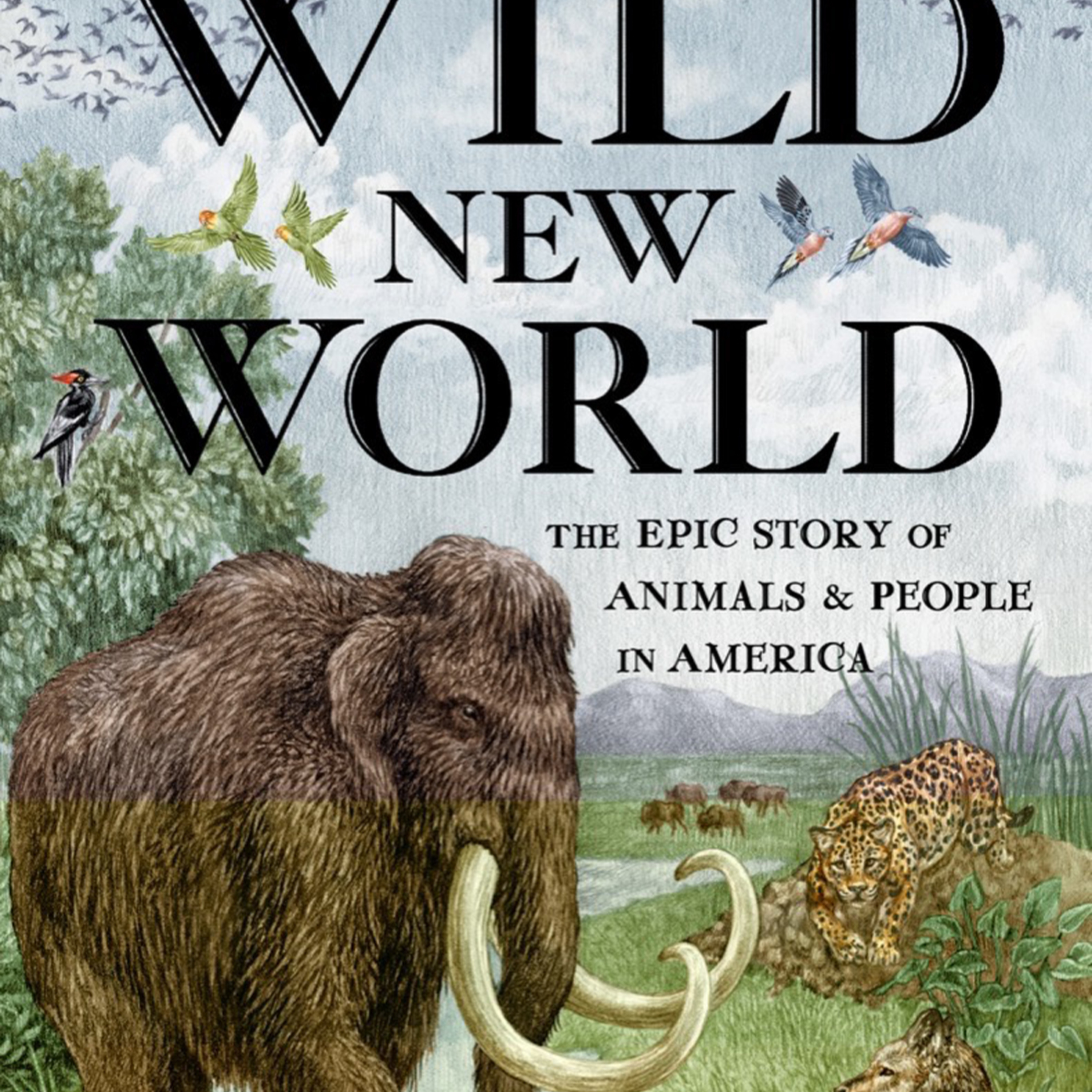 Wild New World: Animals and People in America — The System Behind Extinction