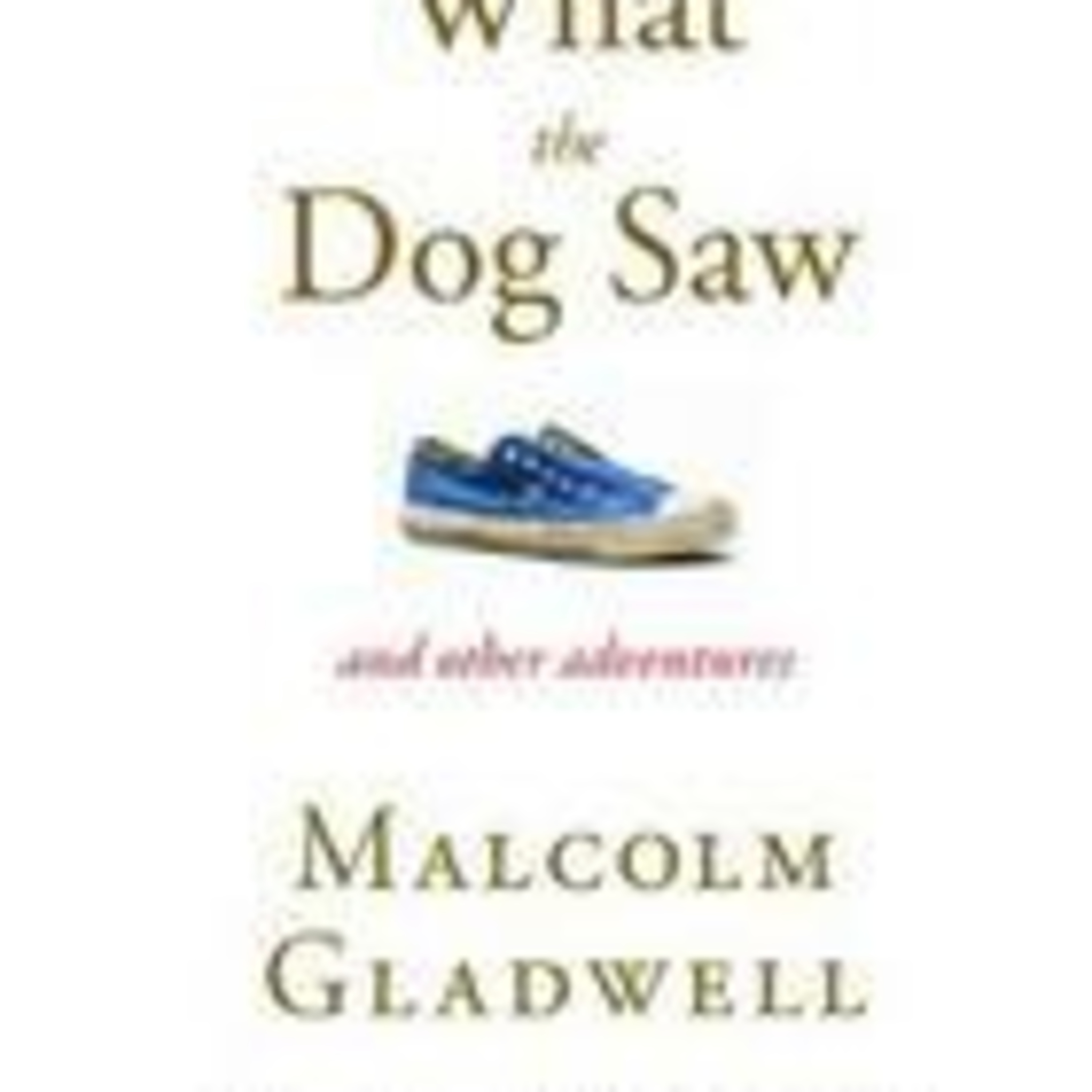 What the Dog Saw — Why Smart Systems Fail When They Misread Reality episode artwork