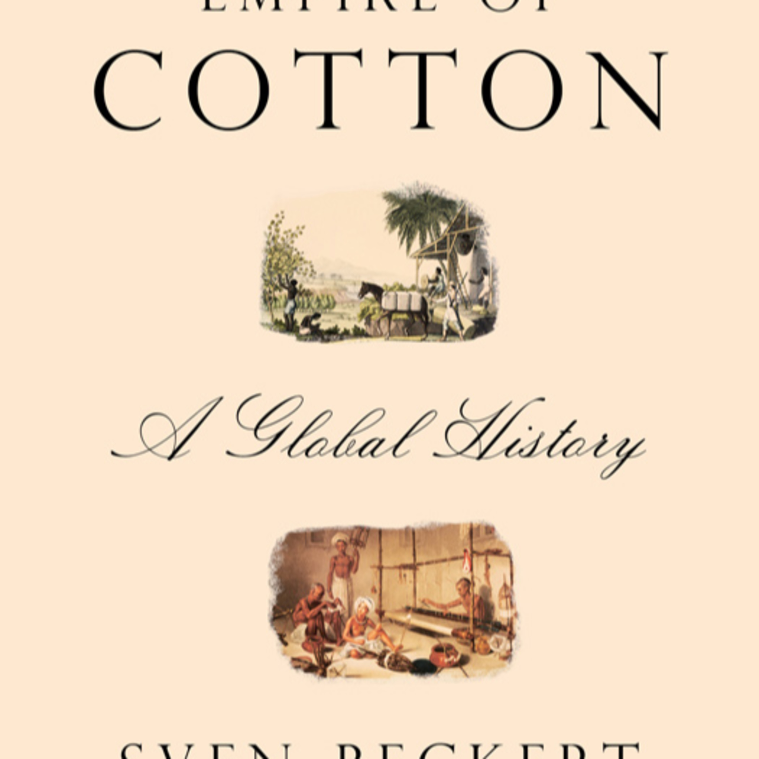 Empire of Cotton: A Global History — How Violence Built Industrial Capitalism episode artwork