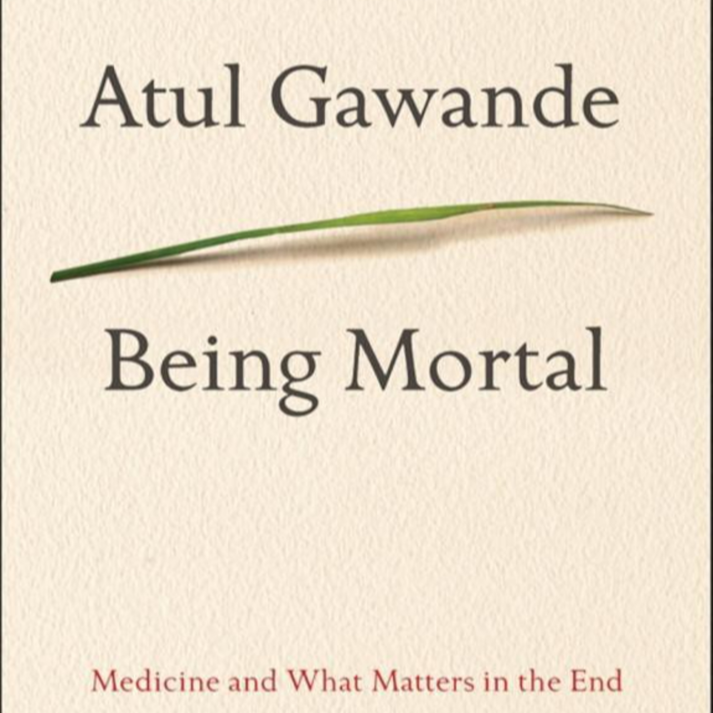 Being Mortal: Medicine and What Matters in the End — When Medicine Mistakes Survival for Care episode artwork