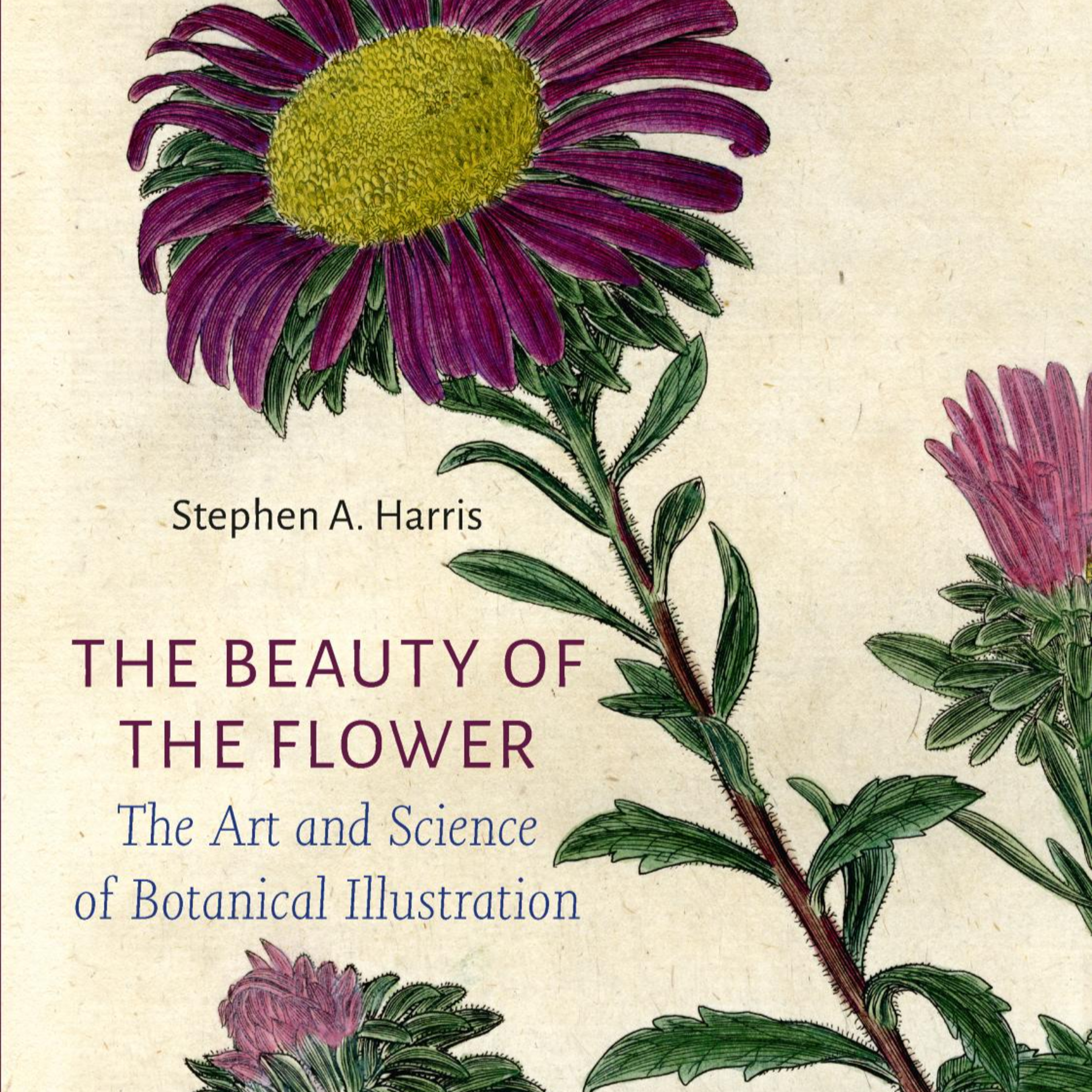 The Beauty of the Flower: Botanical Art and Science — Why Seeing Plants Produces Errors episode artwork