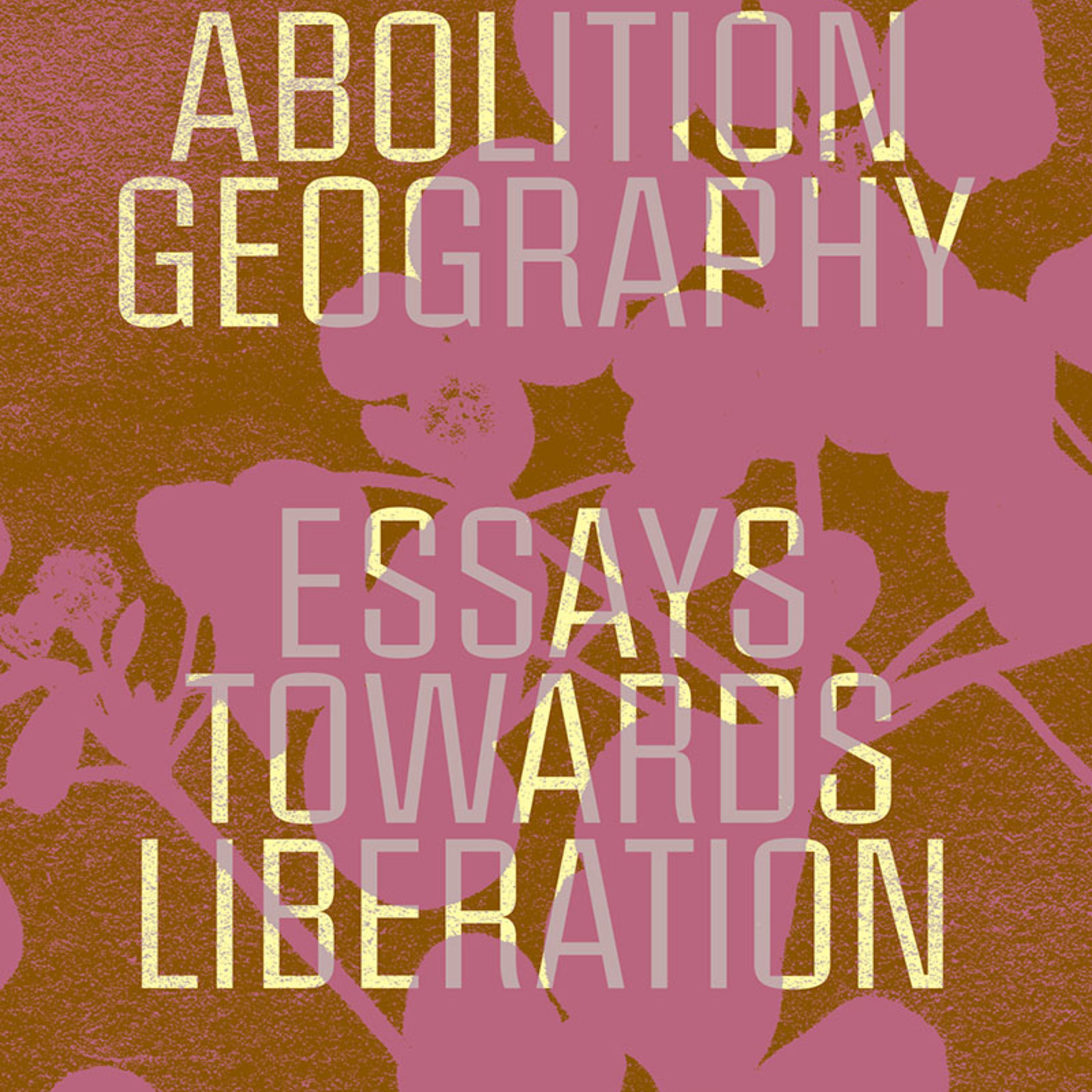 Abolition Geography: Essays Towards Liberation — What prisons are actually managing episode artwork