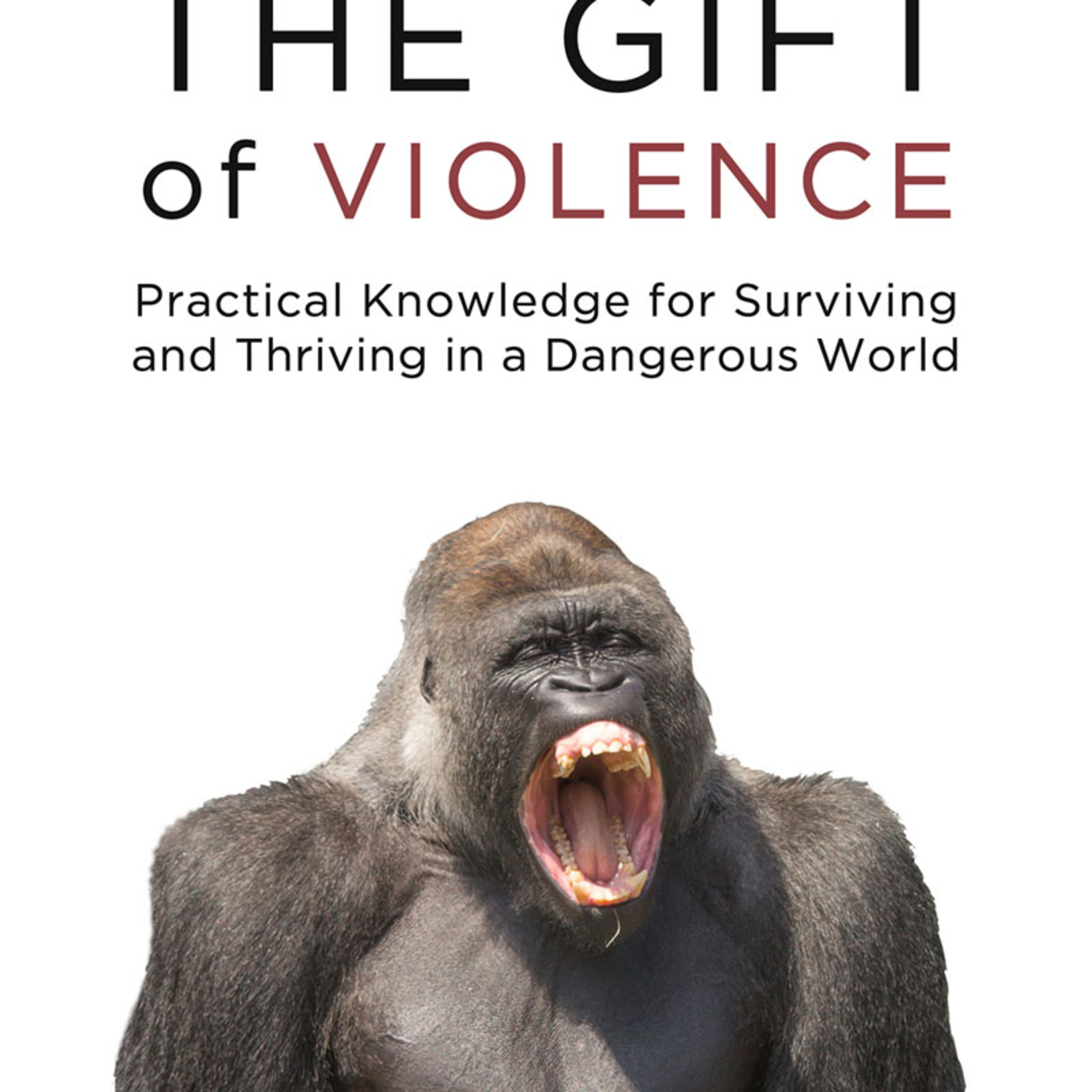 The Gift of Violence — Why Politeness Can Make You Easier to Hunt episode artwork