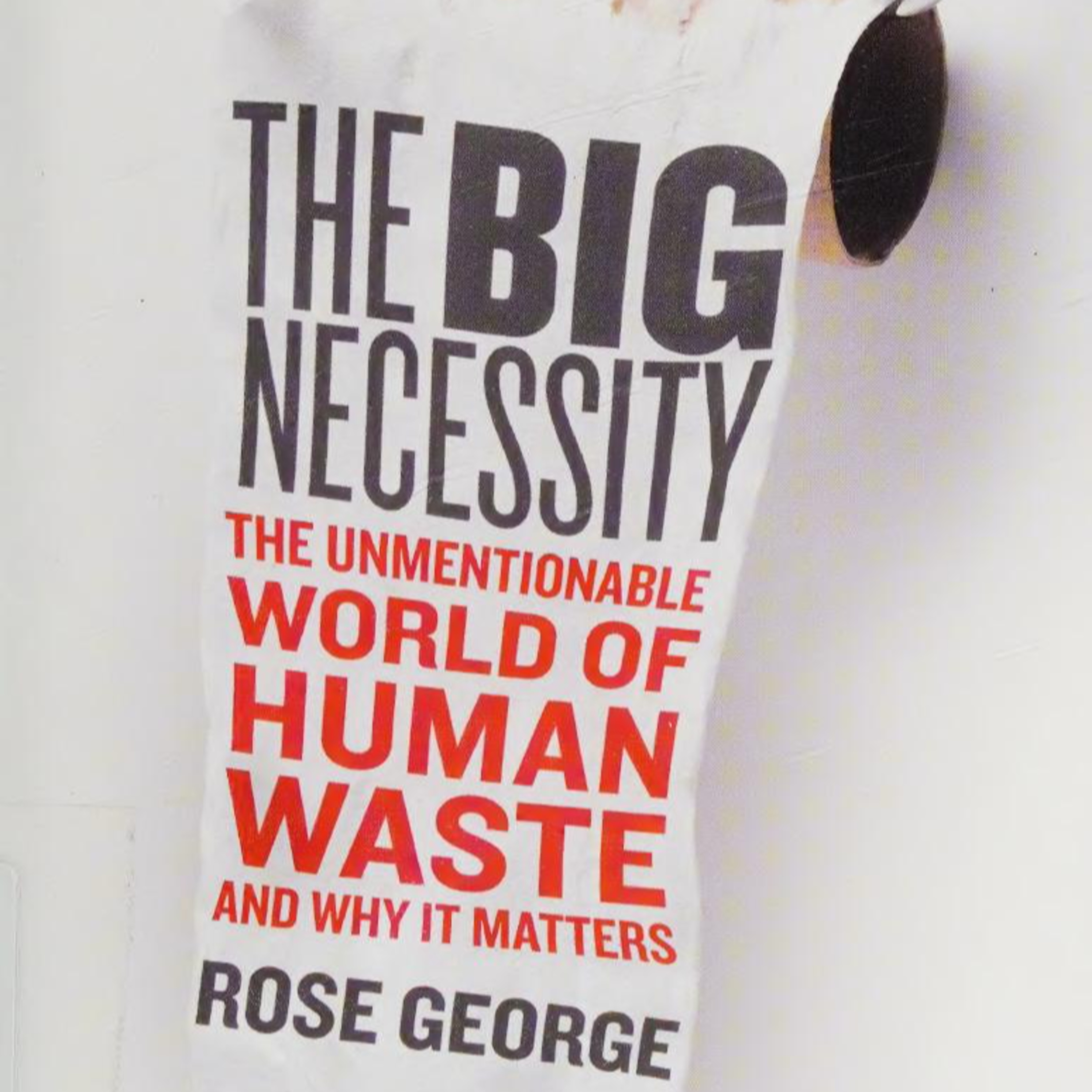 The Big Necessity: The Unmentionable World of Human Waste — Why sanitation stays invisible episode artwork
