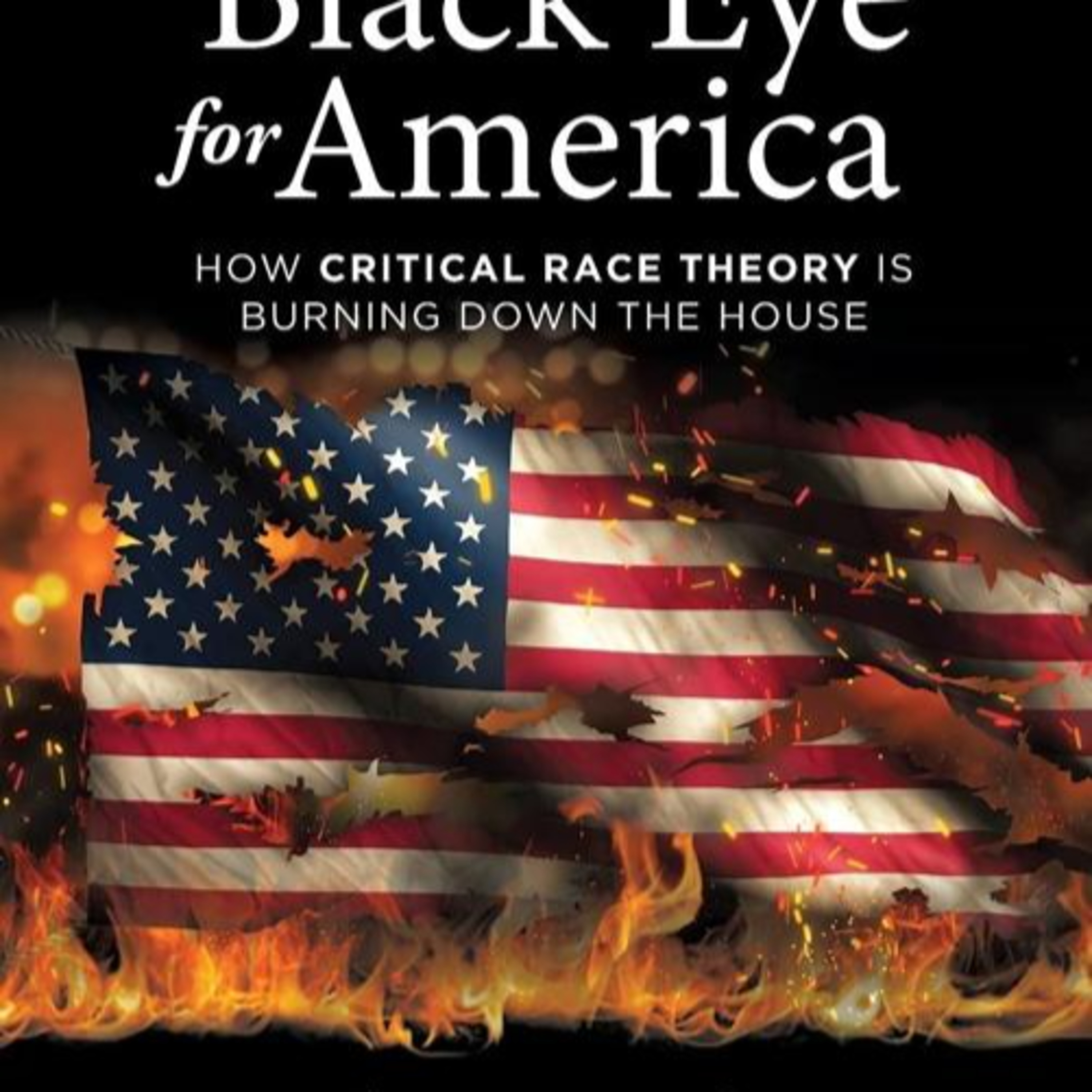 Black Eye for America: Critical Race Theory and Its Impact — The system behind the language episode artwork