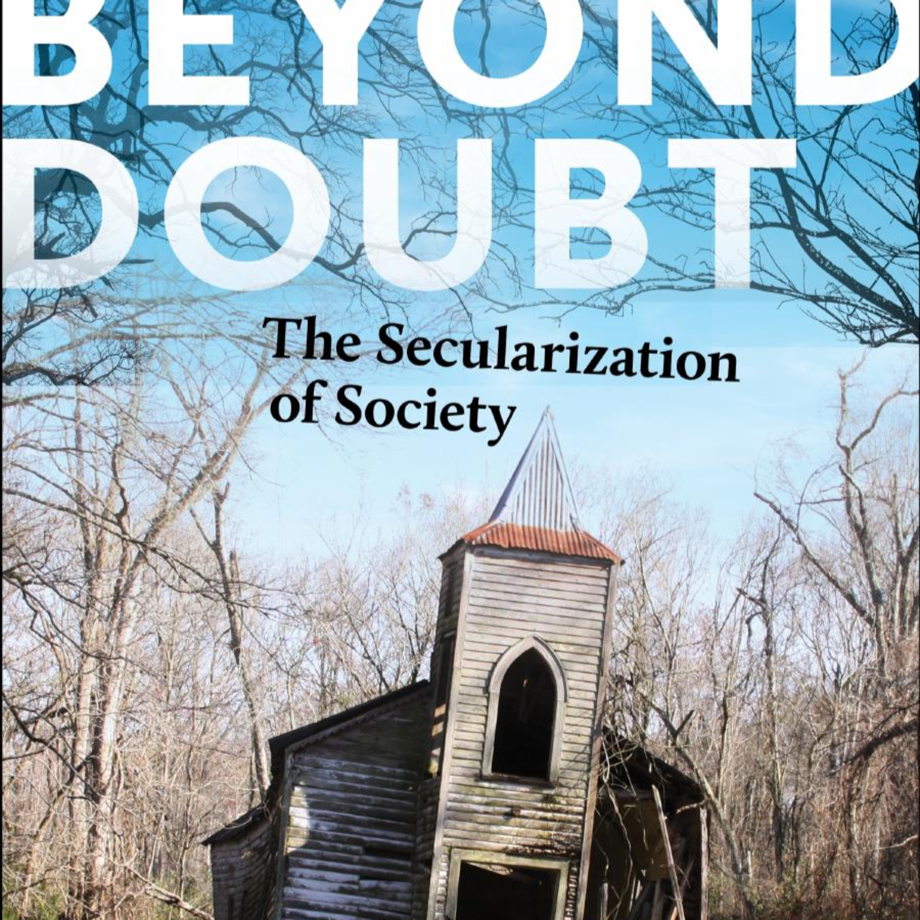 Beyond Doubt: The Secularization of Society — Why Security Reduces Religious Demand episode artwork