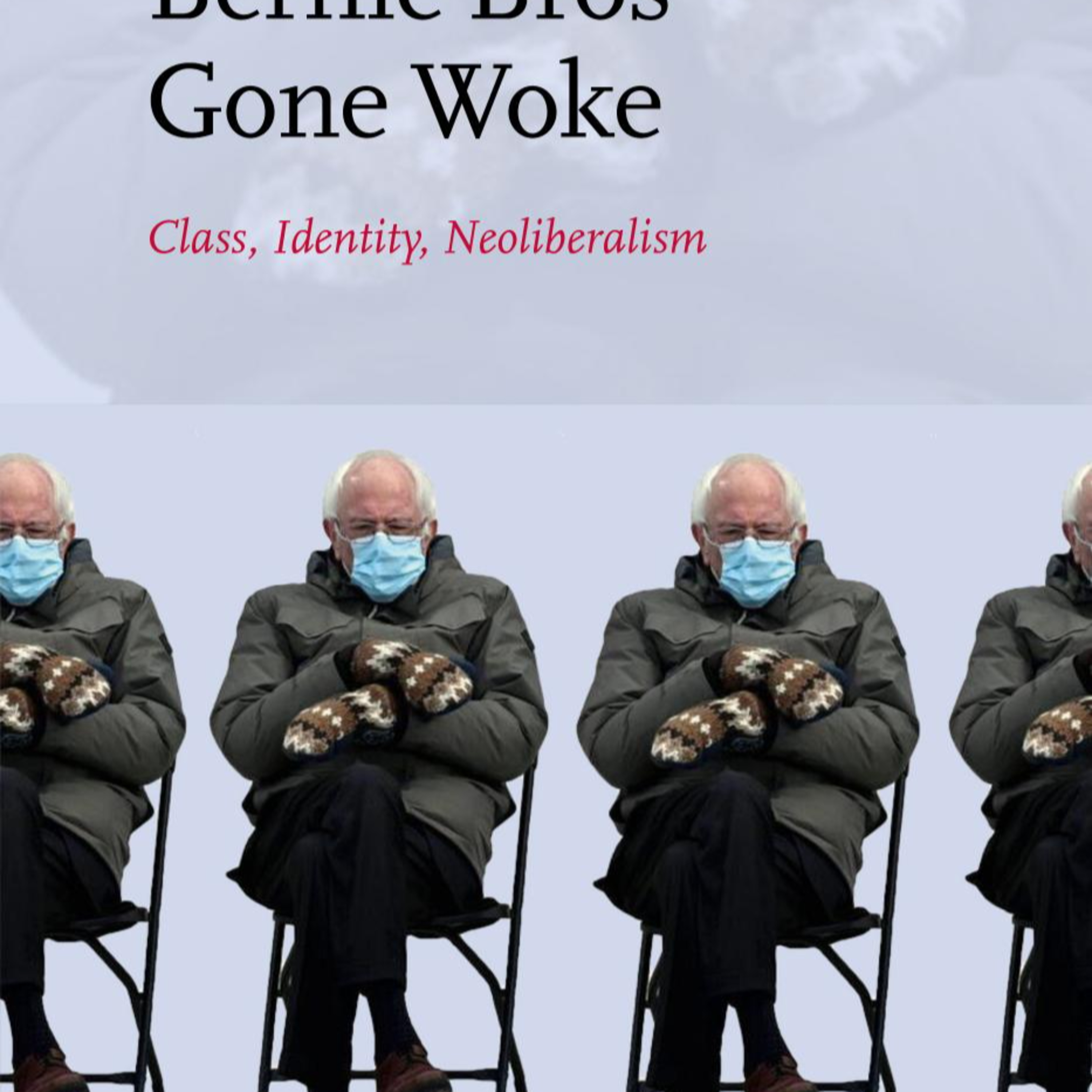 Bernie Bros Gone Woke — What Progressive Neoliberalism Actually Protects episode artwork