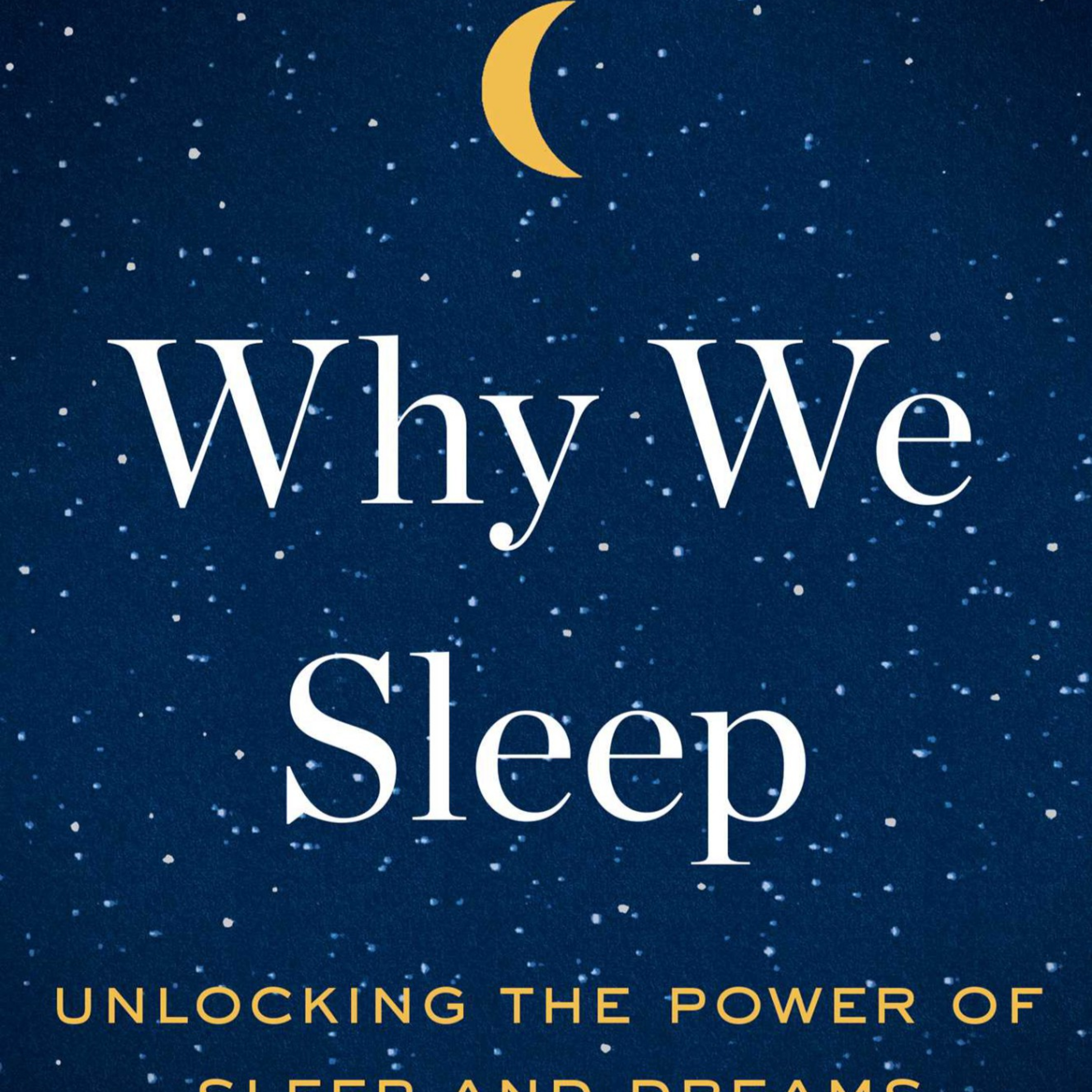 Why We Sleep — When productivity turns biological limits into public risk