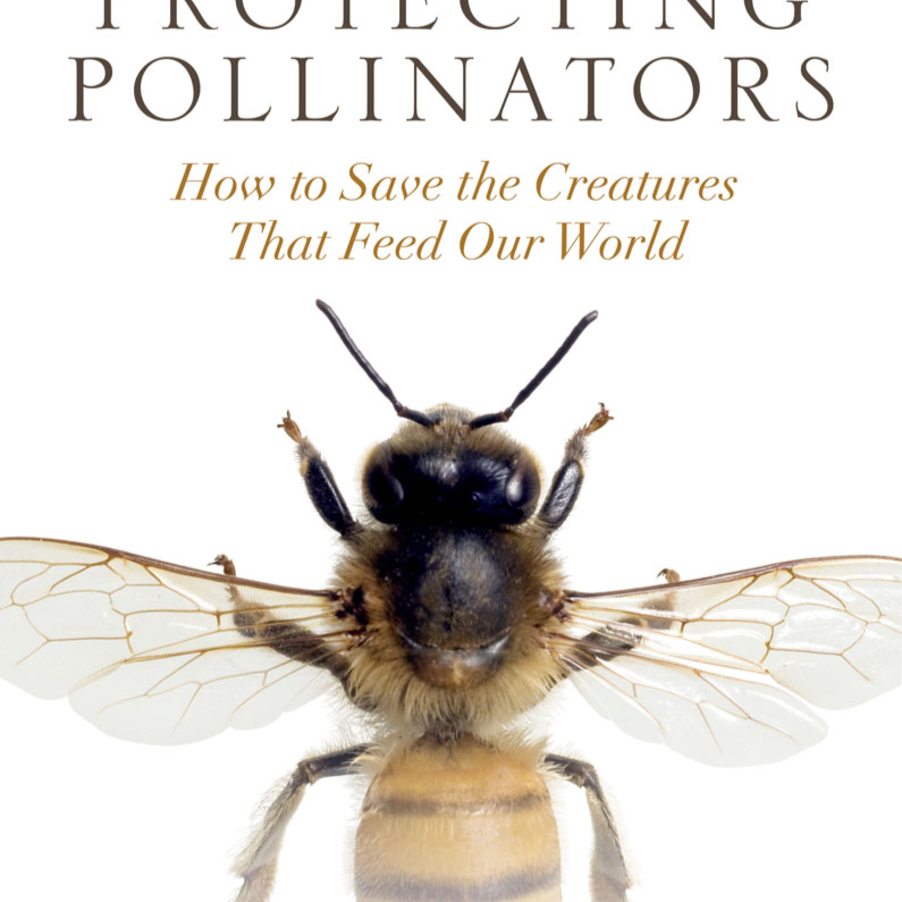 Protecting Pollinators: Why We Need Bees, Flies, and Other Pollinators — The Hidden Network Behind Food episode artwork
