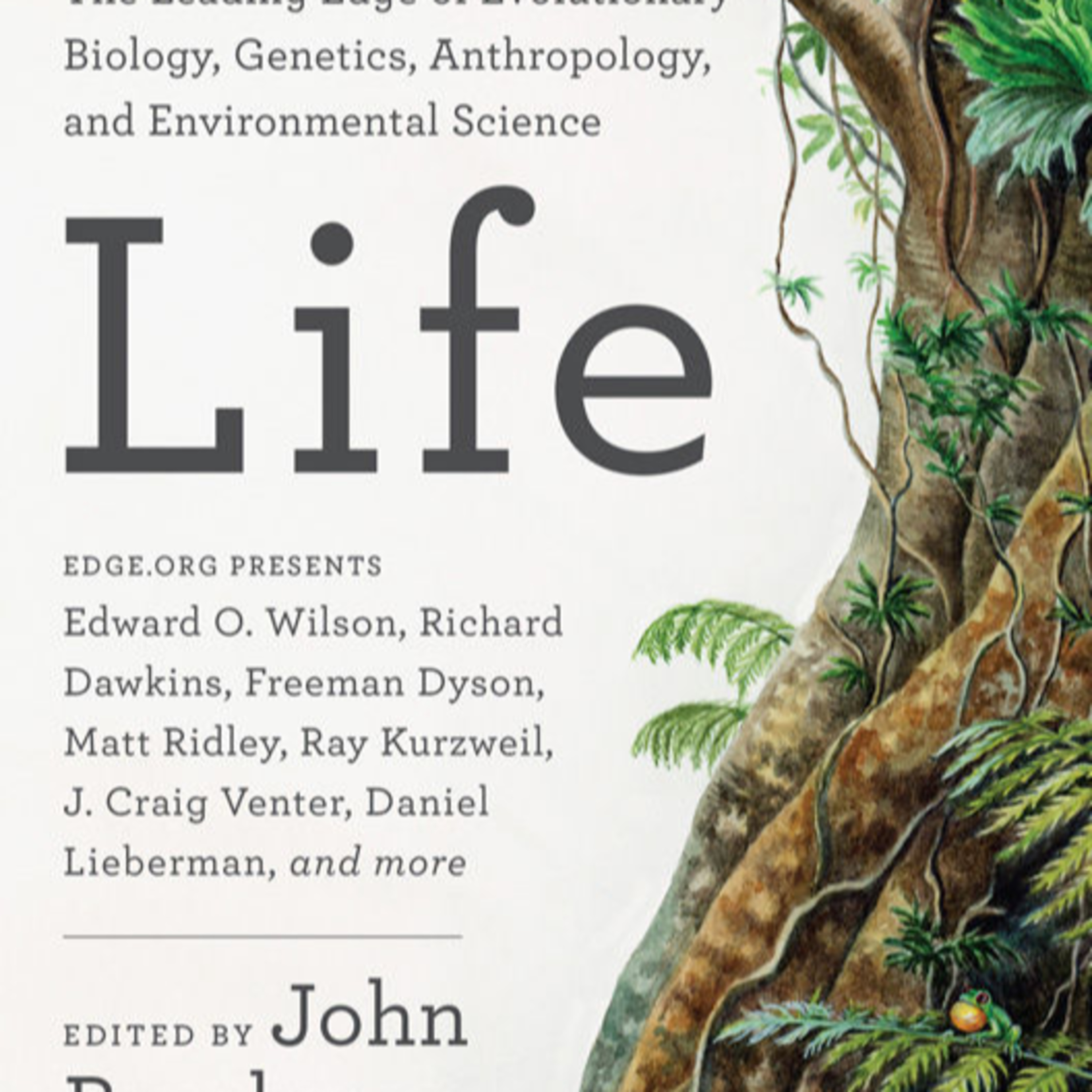 Life — What If Organisms Are Just Vehicles for Information? episode artwork