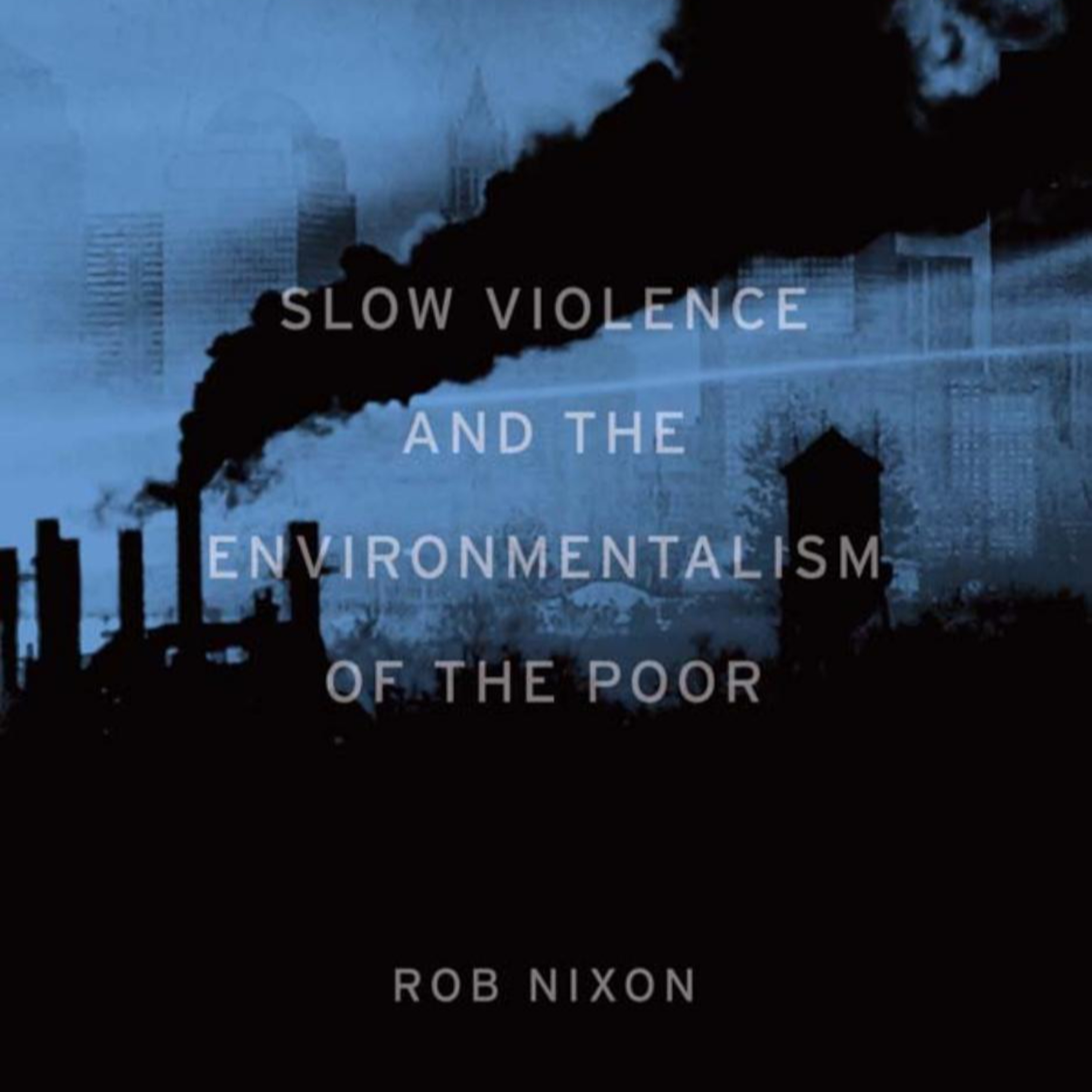 Slow Violence and the Environmentalism of the Poor — When Harm Moves Too Slowly to See episode artwork