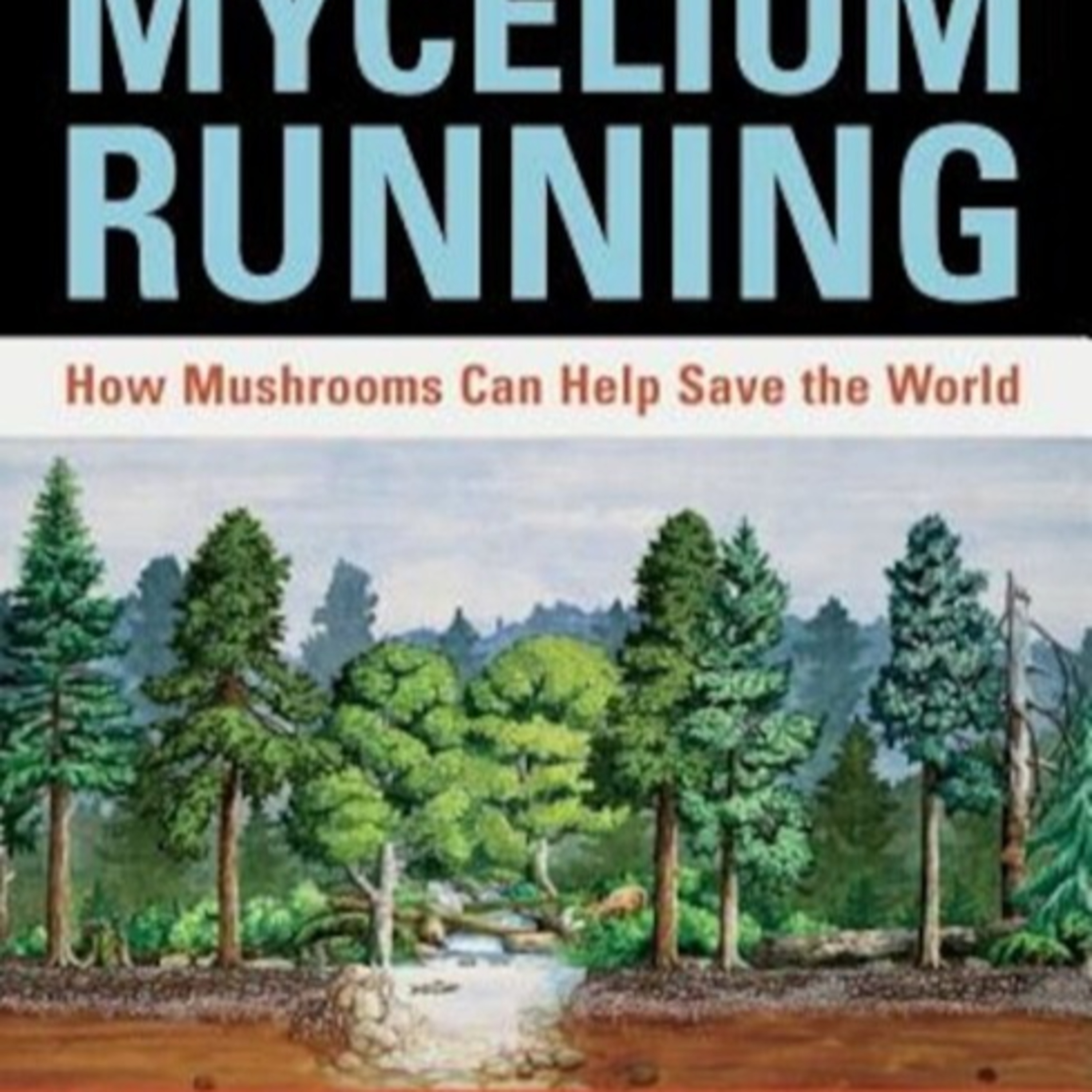 Mycelium Running: How Mushrooms Can Help Save the World — The Network Beneath Us