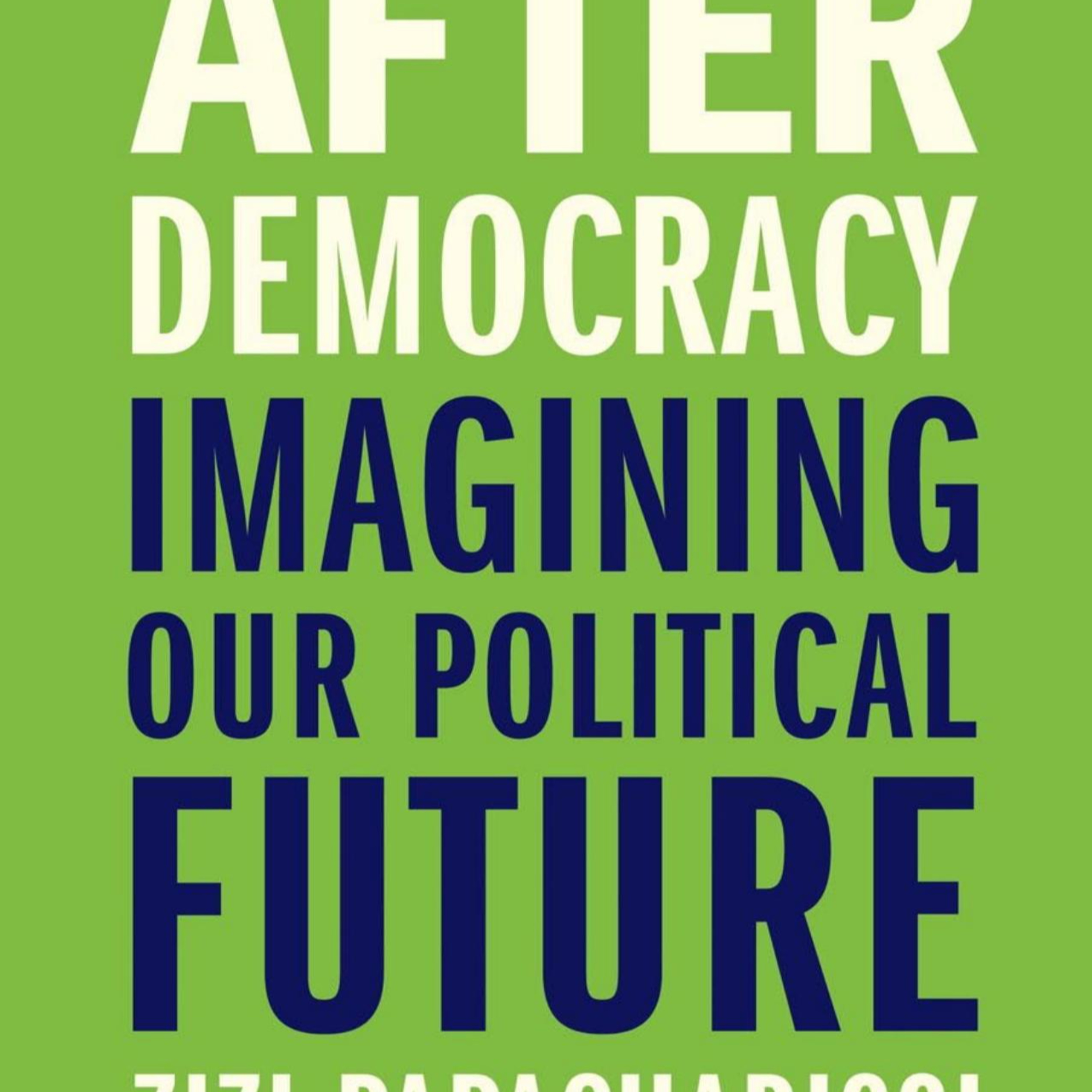 After Democracy: Imagining Our Political Future — Can Democracy Process Modern Voice? episode artwork