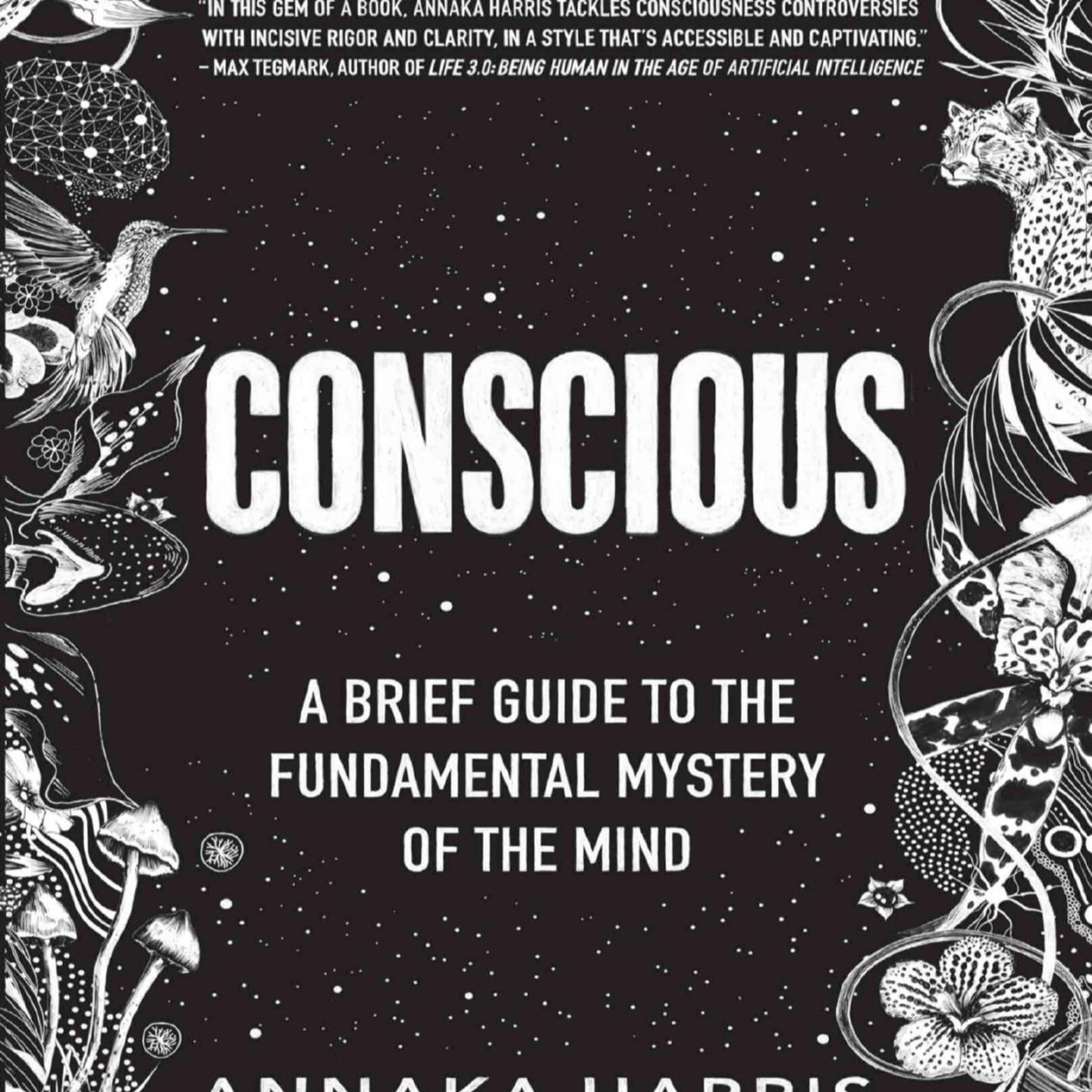 Conscious: A Brief Guide to the Fundamental Mystery of the Mind — The System Behind the Self episode artwork