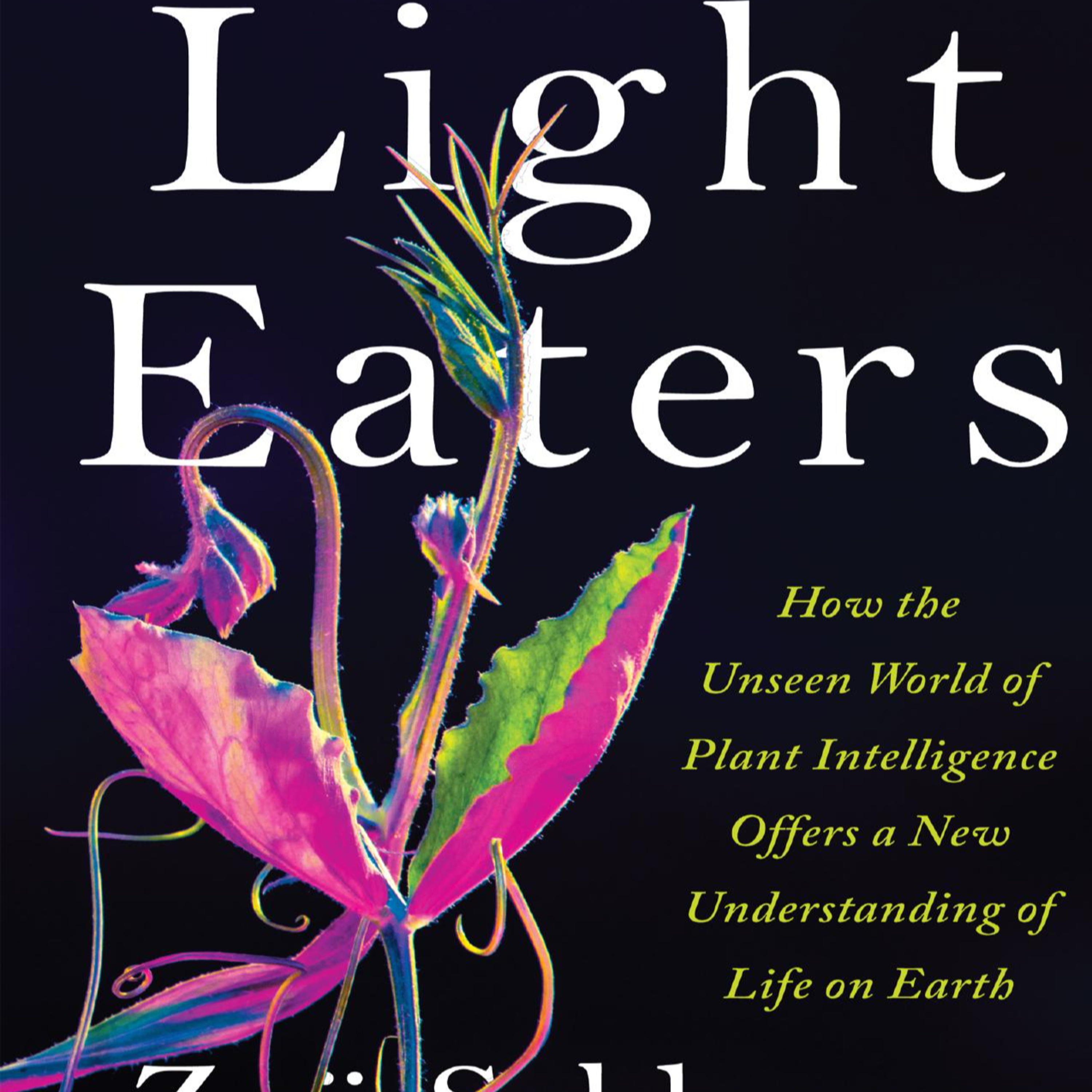 The Light Eaters: How the Unseen Intelligence of Plants Shapes Our World — The System We Couldn't See episode artwork