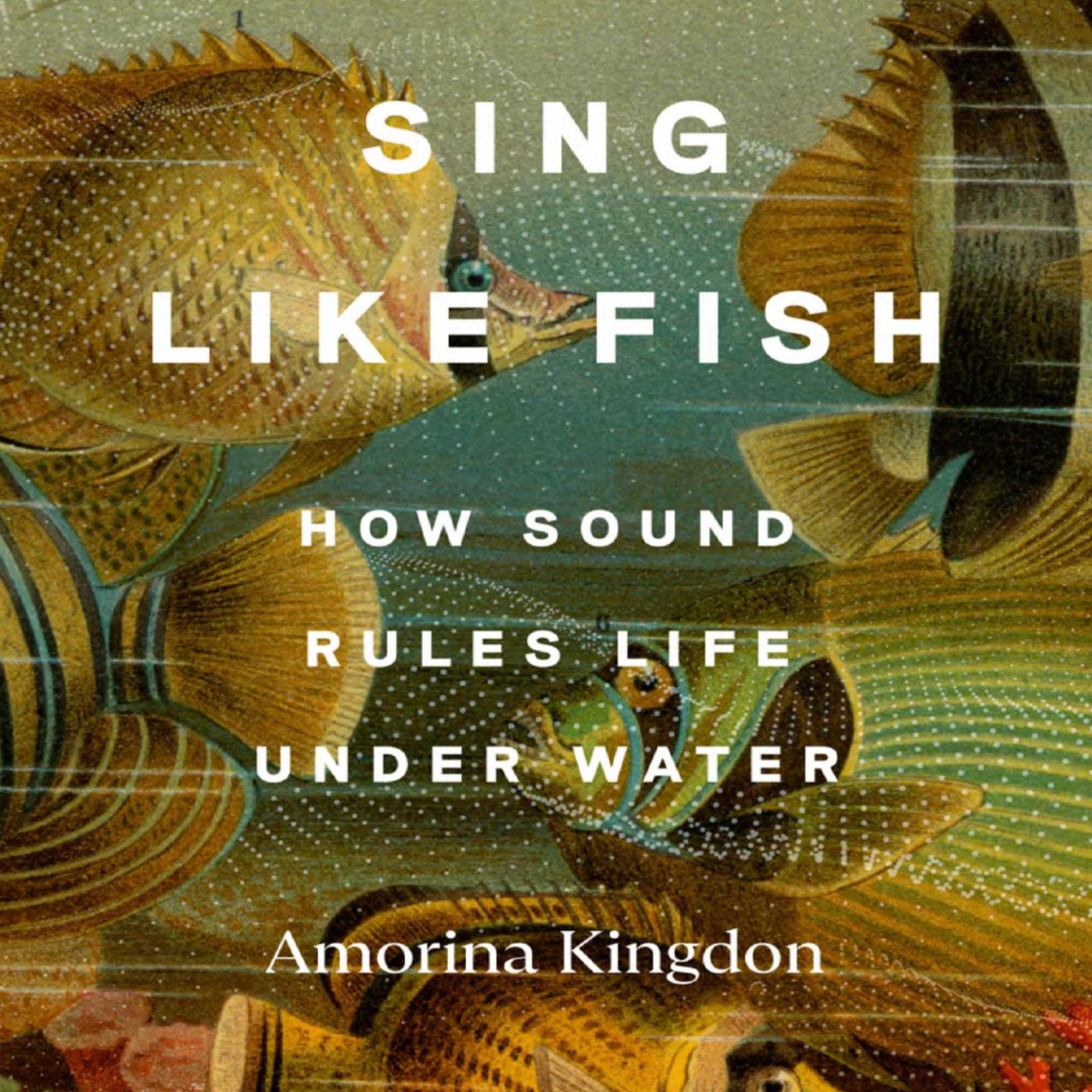 Sing Like Fish: How Sound Rules Life Under Water — The Hidden Infrastructure of the Ocean episode artwork