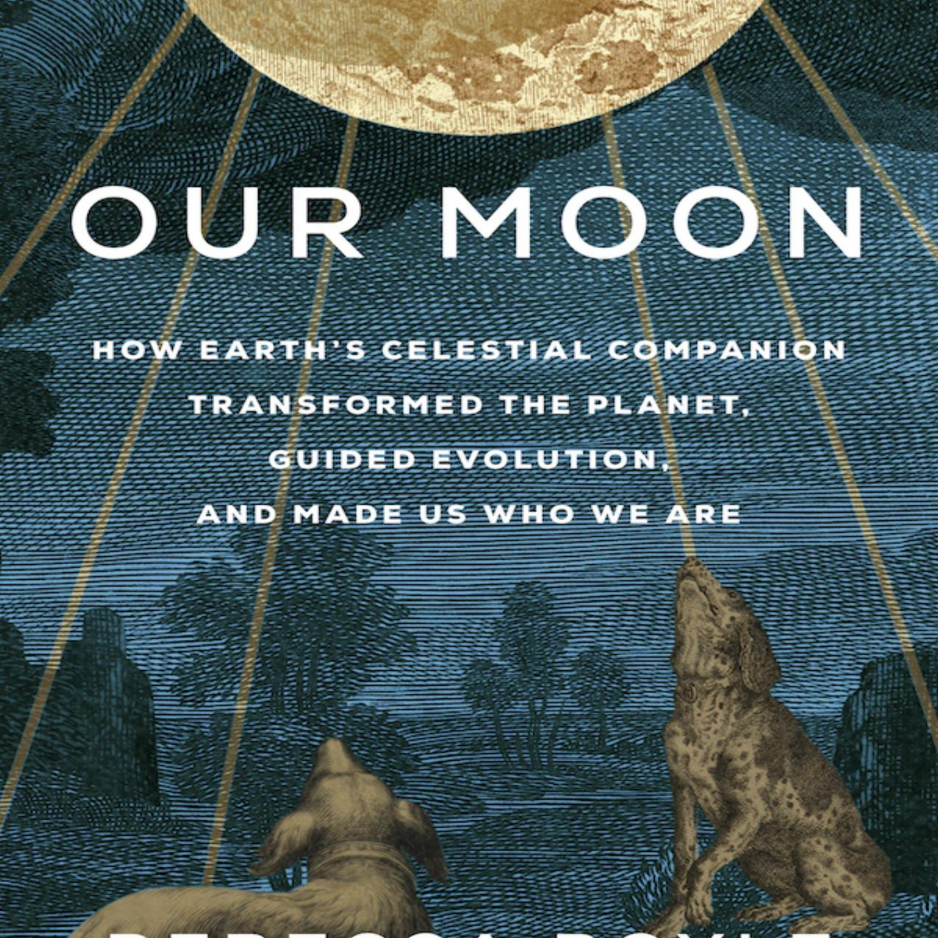 Our Moon — Why Earth’s Stability Depends on a Hidden System episode artwork