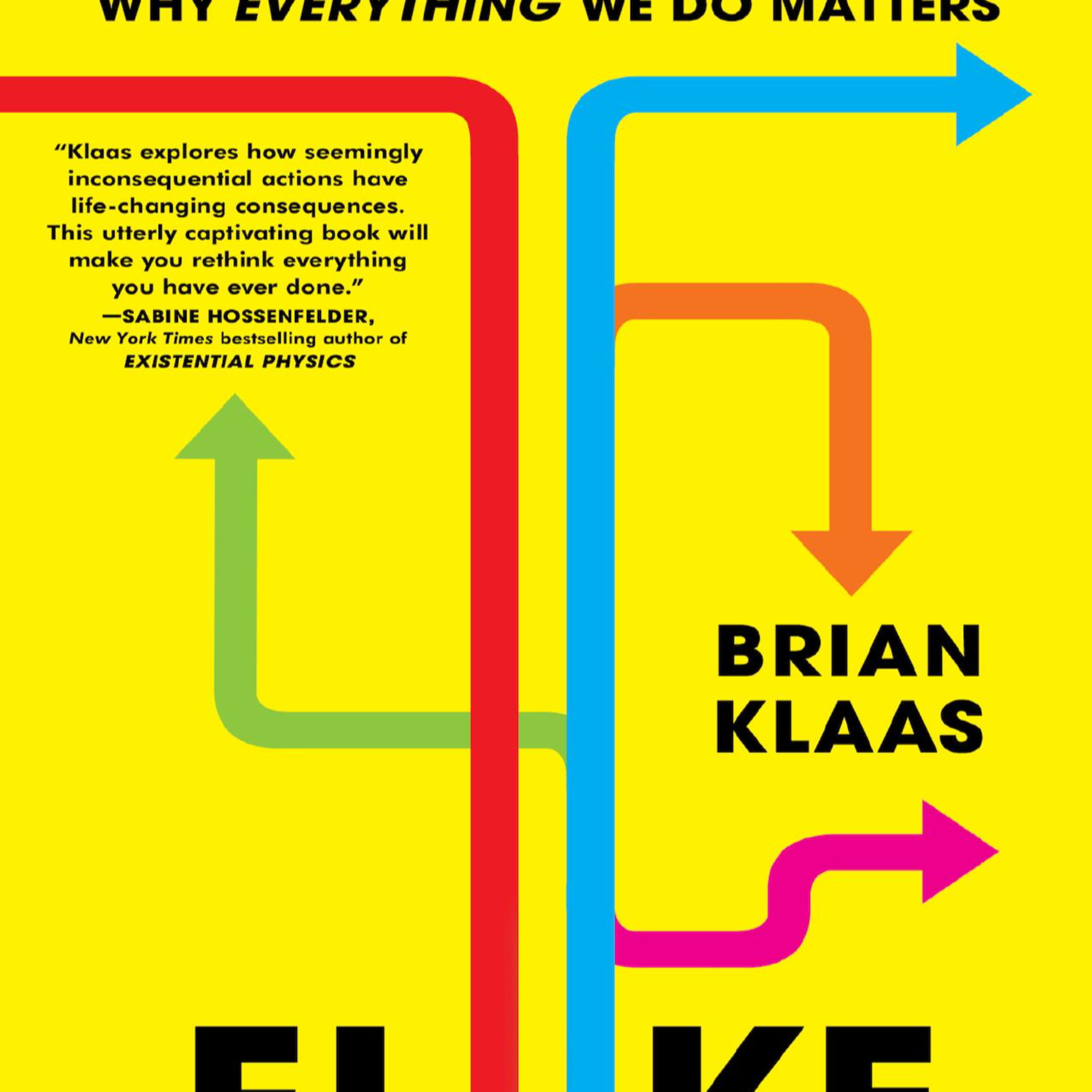 Fluke: Chance, Chaos, and Why Everything We Do Matters — The System Behind Randomness episode artwork