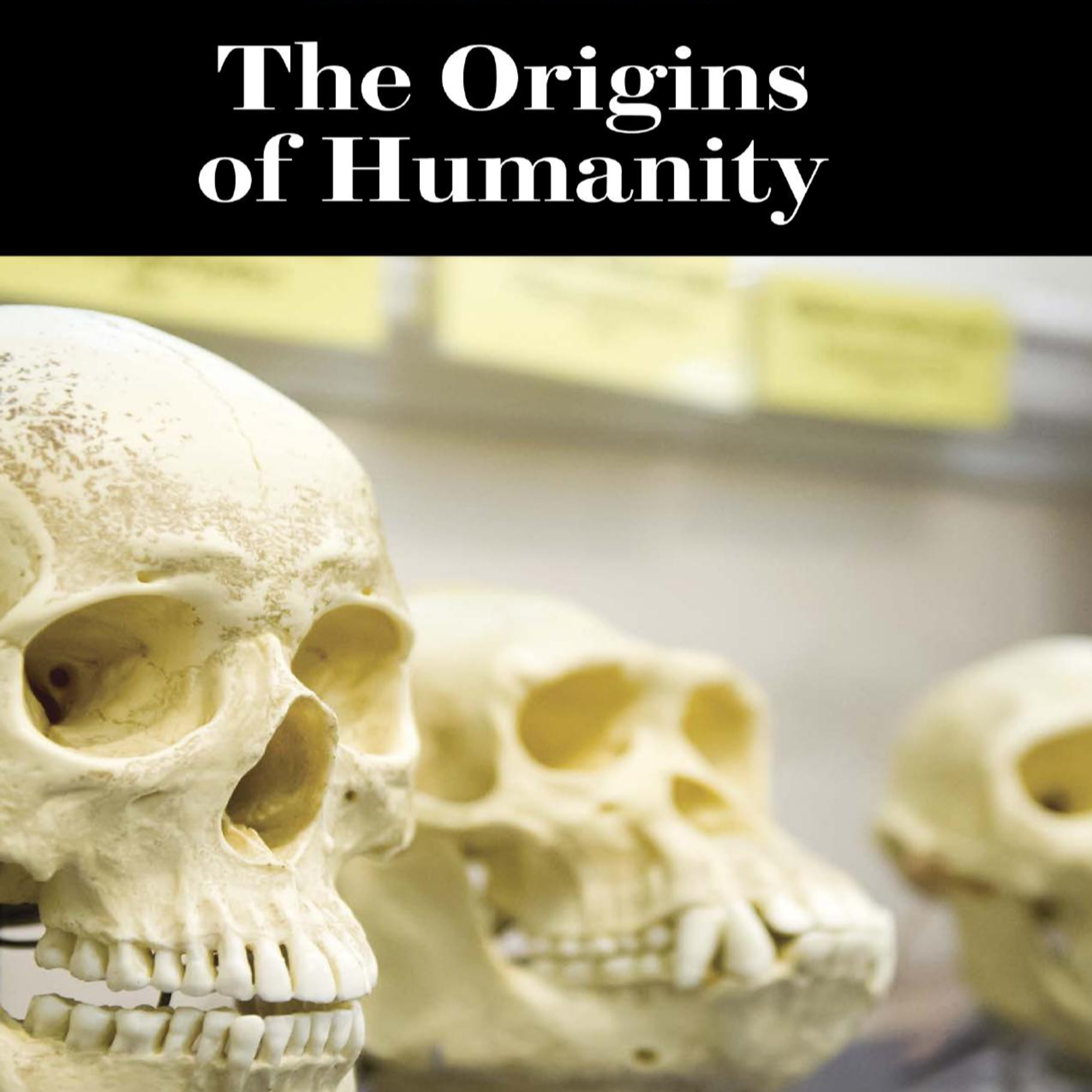 The Origins of Humanity — Why Human Survival Depends on Outsourced Intelligence episode artwork