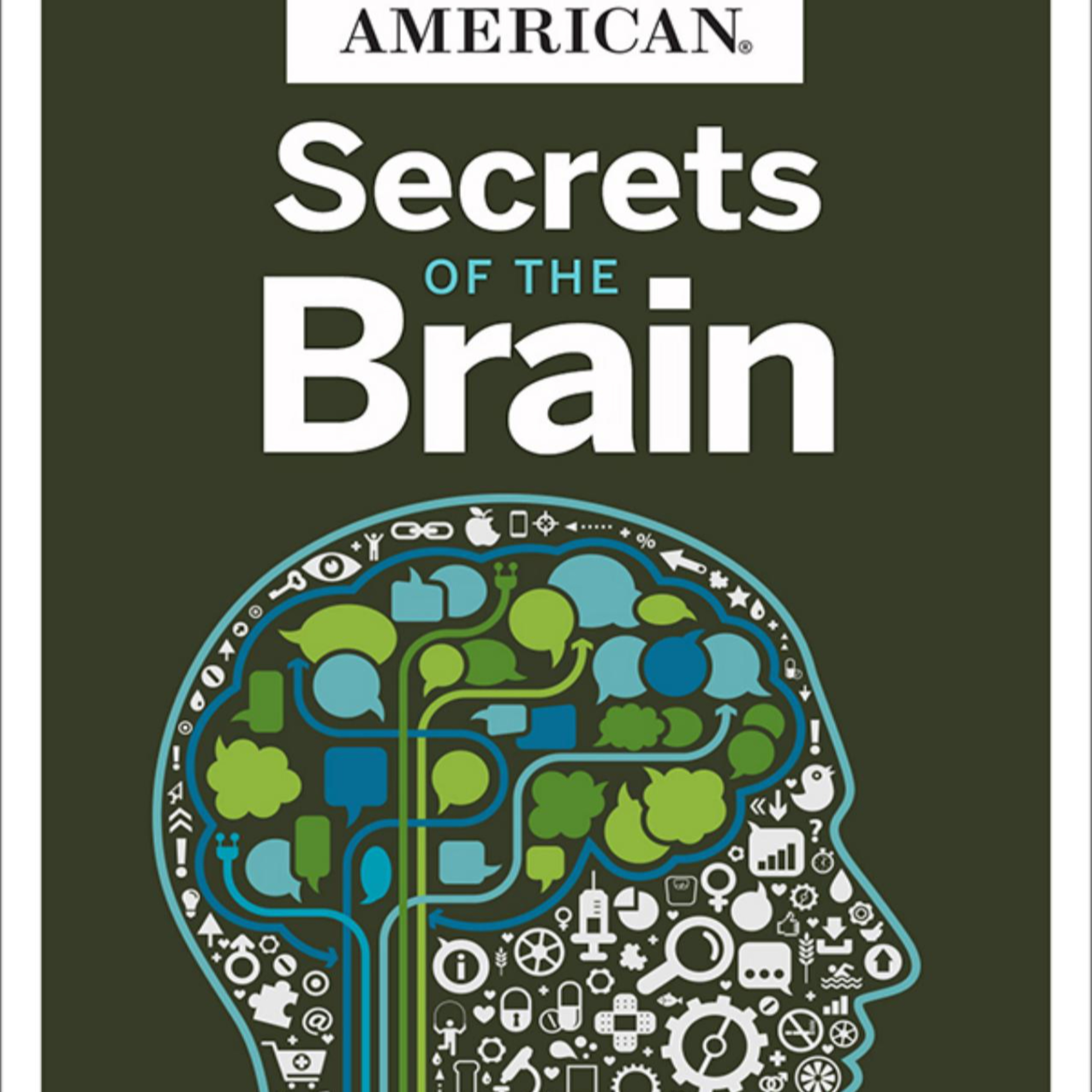 Secrets of the Brain — Why Perception Is Built on Prediction and Maintenance episode artwork